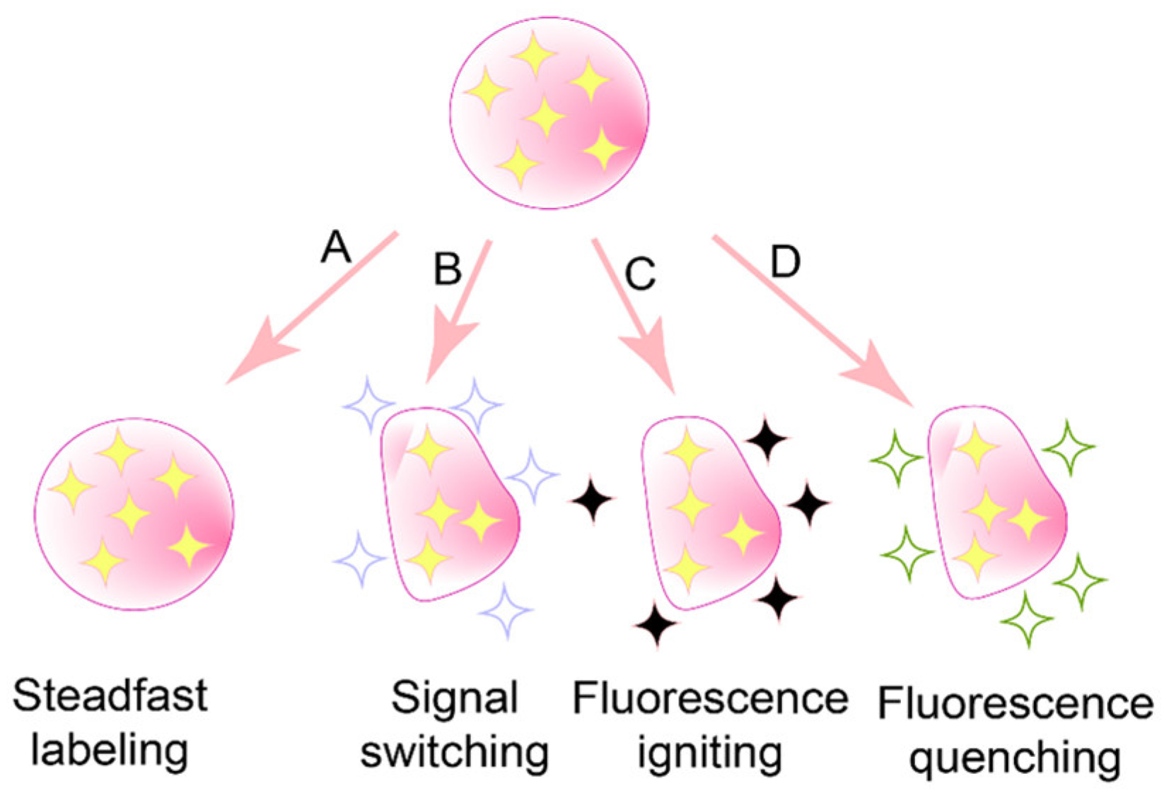 Pharmaceuticals 18 00176 g004