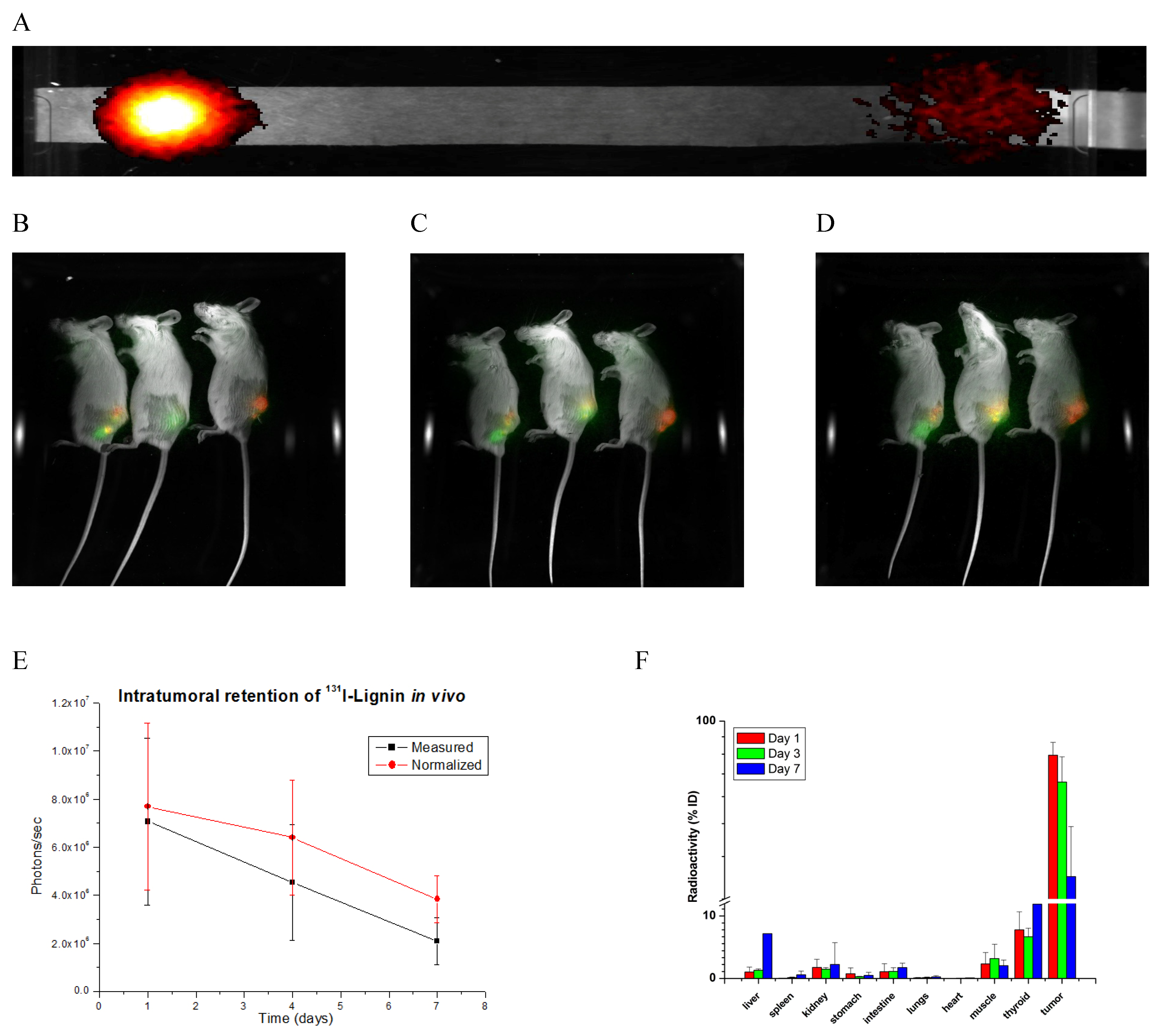 Pharmaceuticals 18 00177 g003