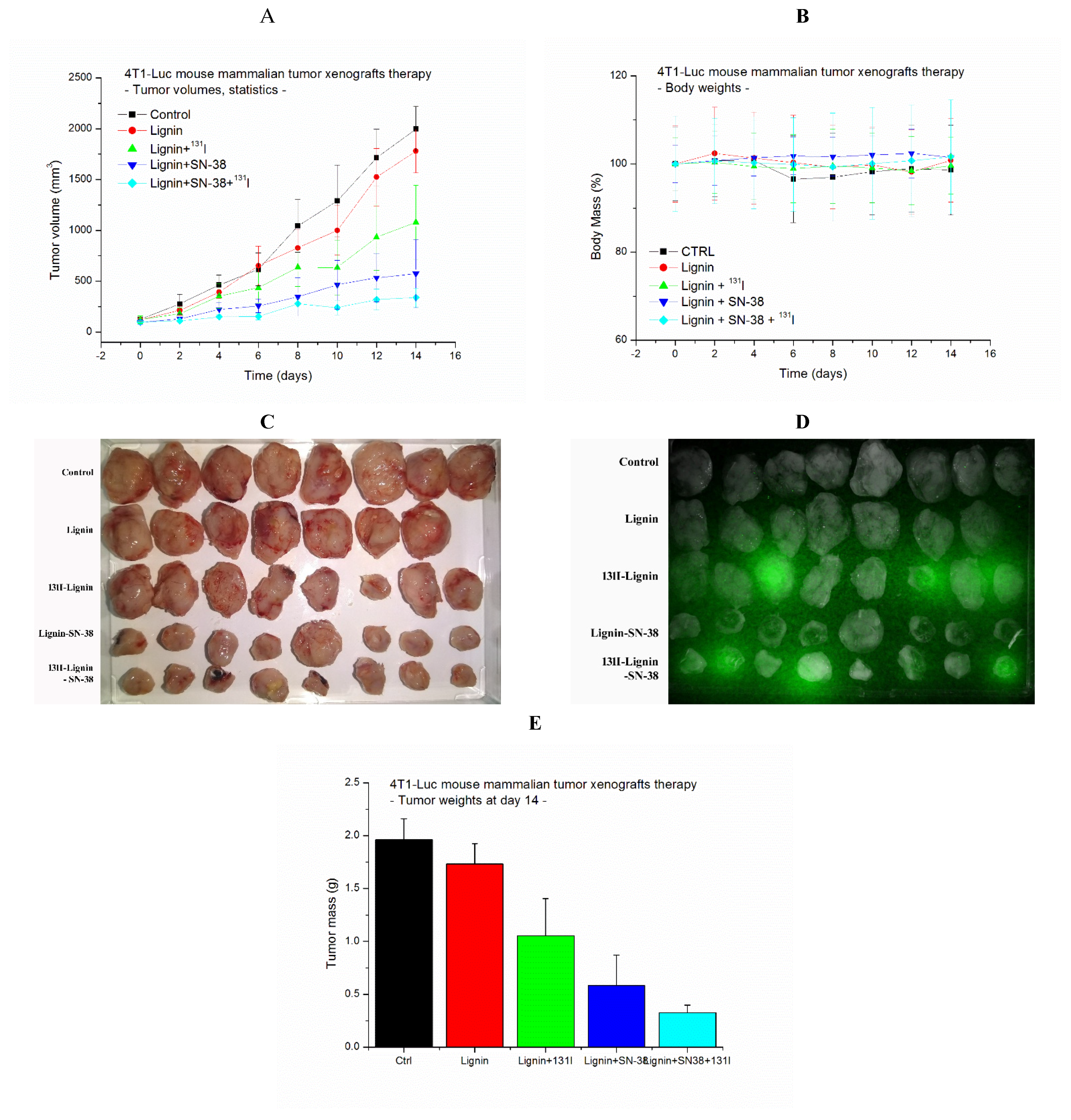 Pharmaceuticals 18 00177 g004