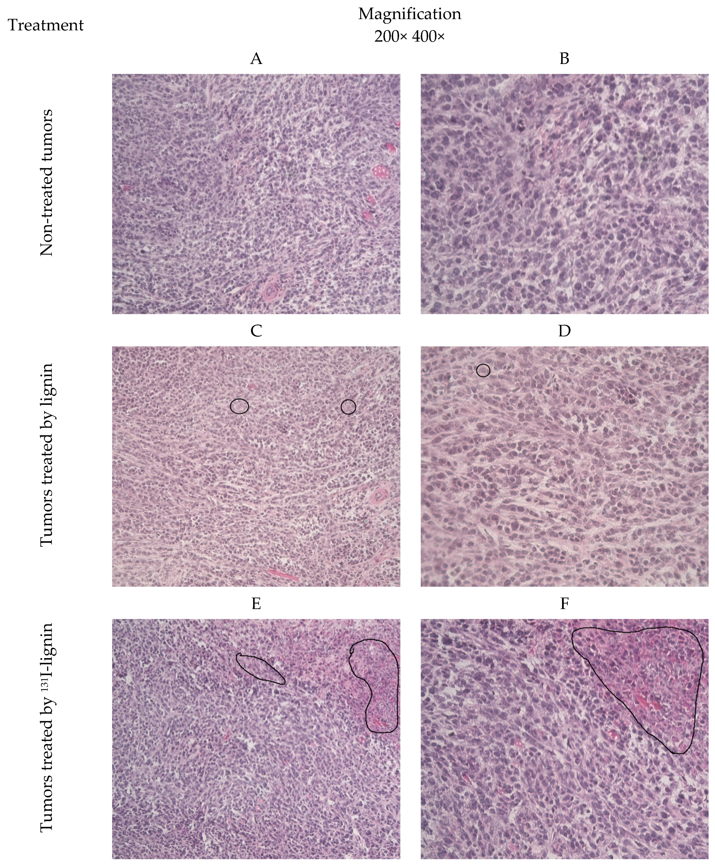 Pharmaceuticals 18 00177 g005a
