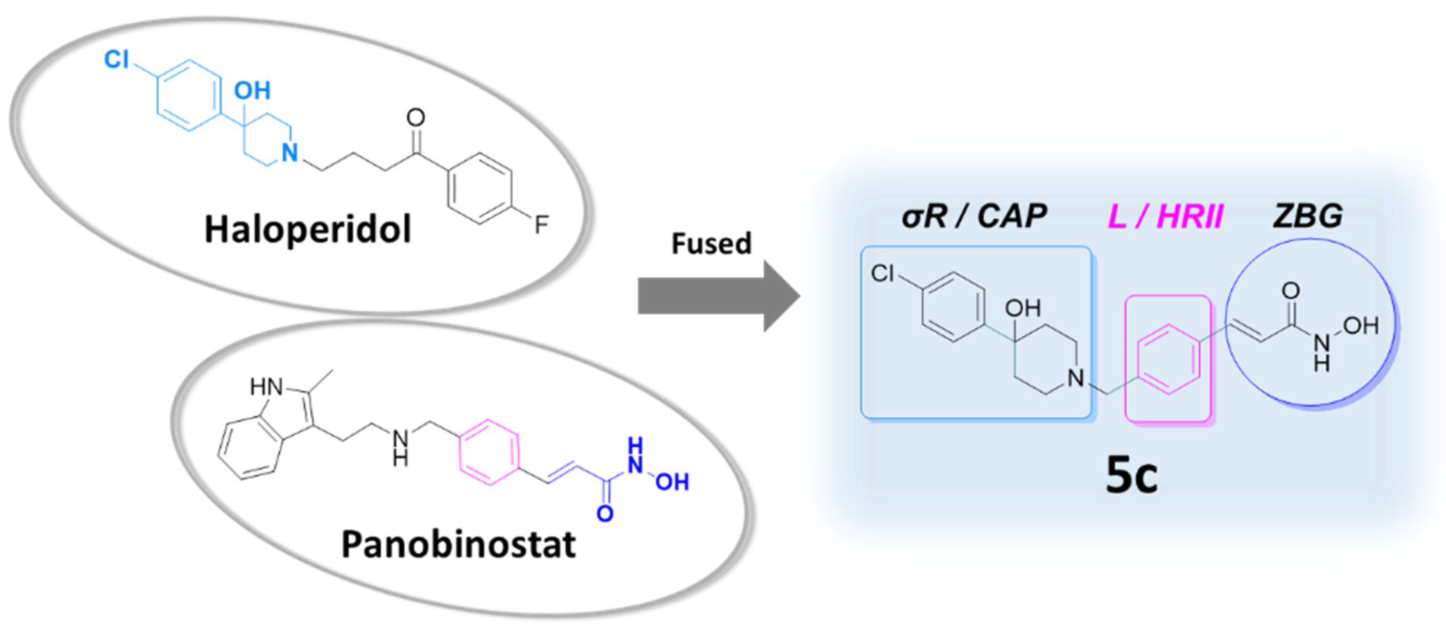 Pharmaceuticals 18 00179 g001