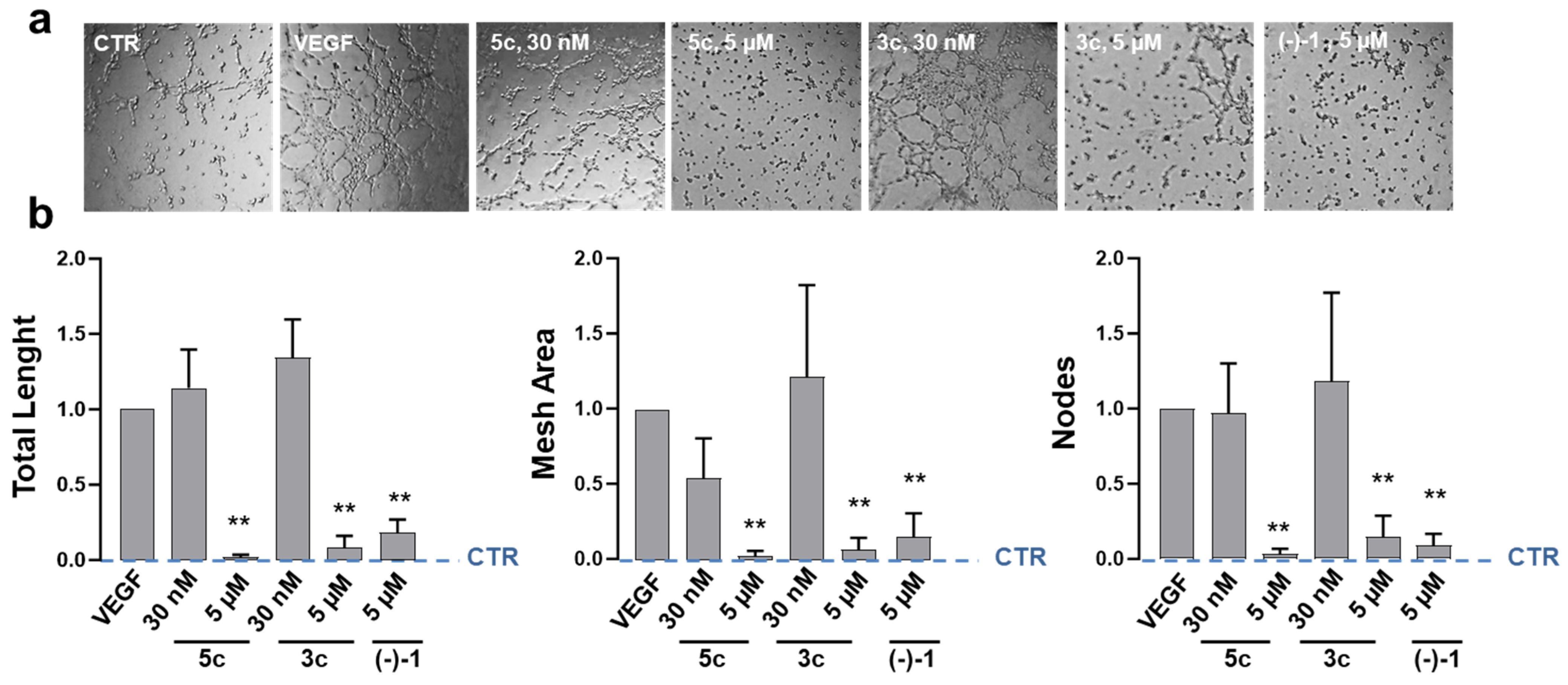 Pharmaceuticals 18 00179 g004