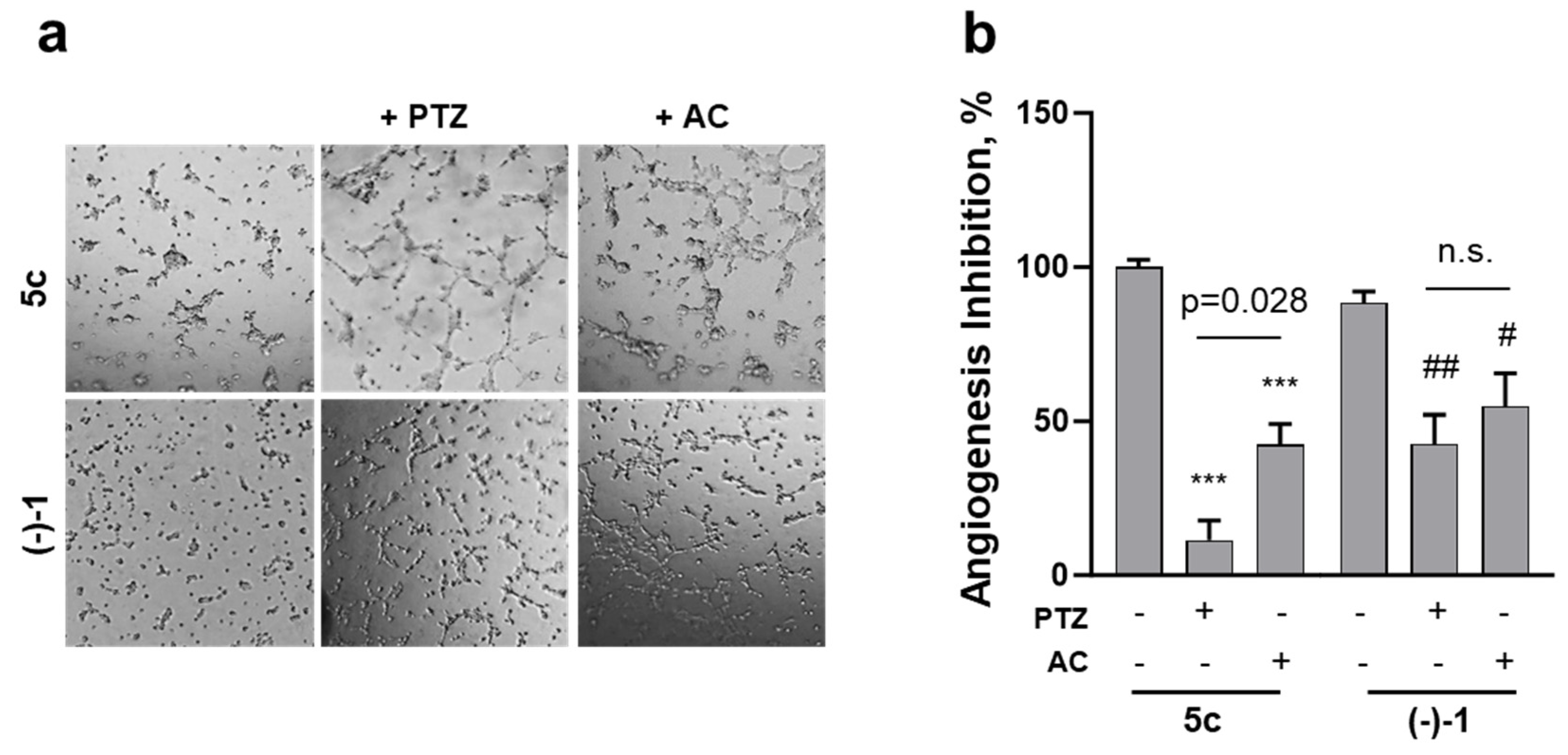 Pharmaceuticals 18 00179 g005