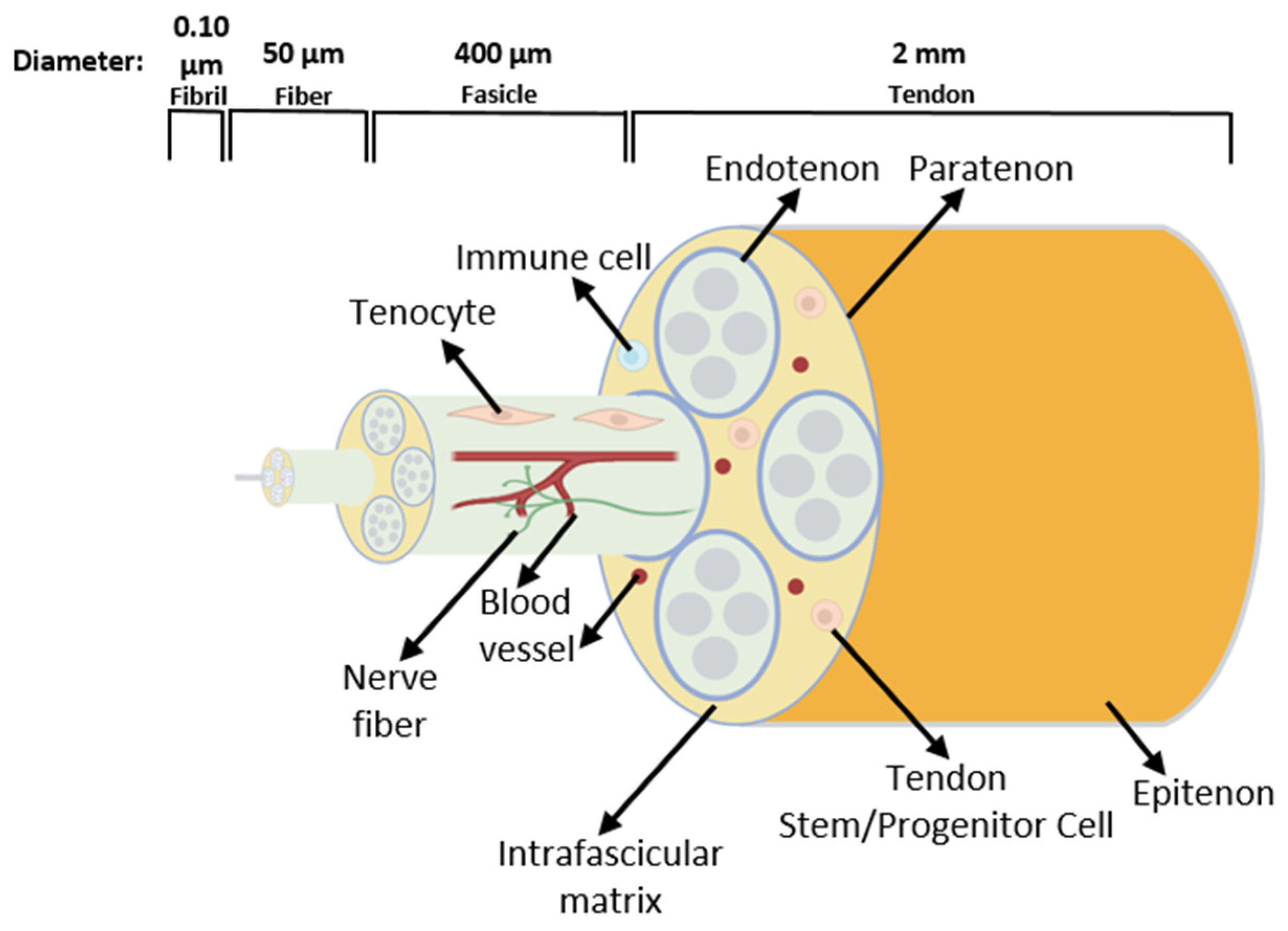 Pharmaceuticals 18 00184 g004