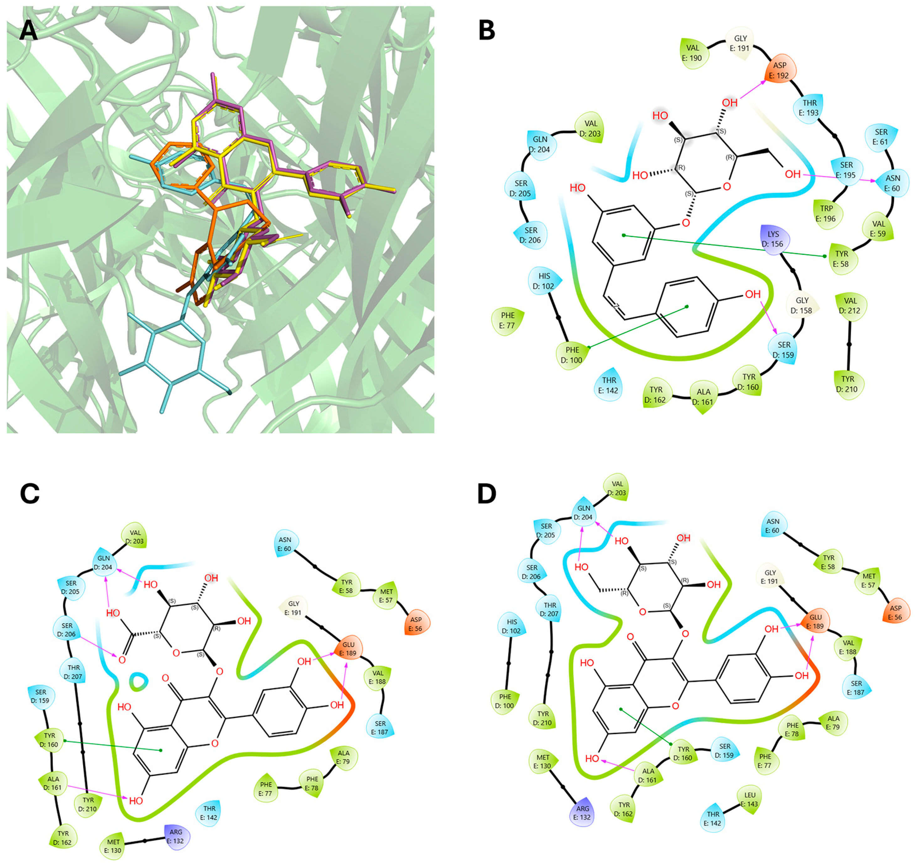 Pharmaceuticals 18 00186 g005