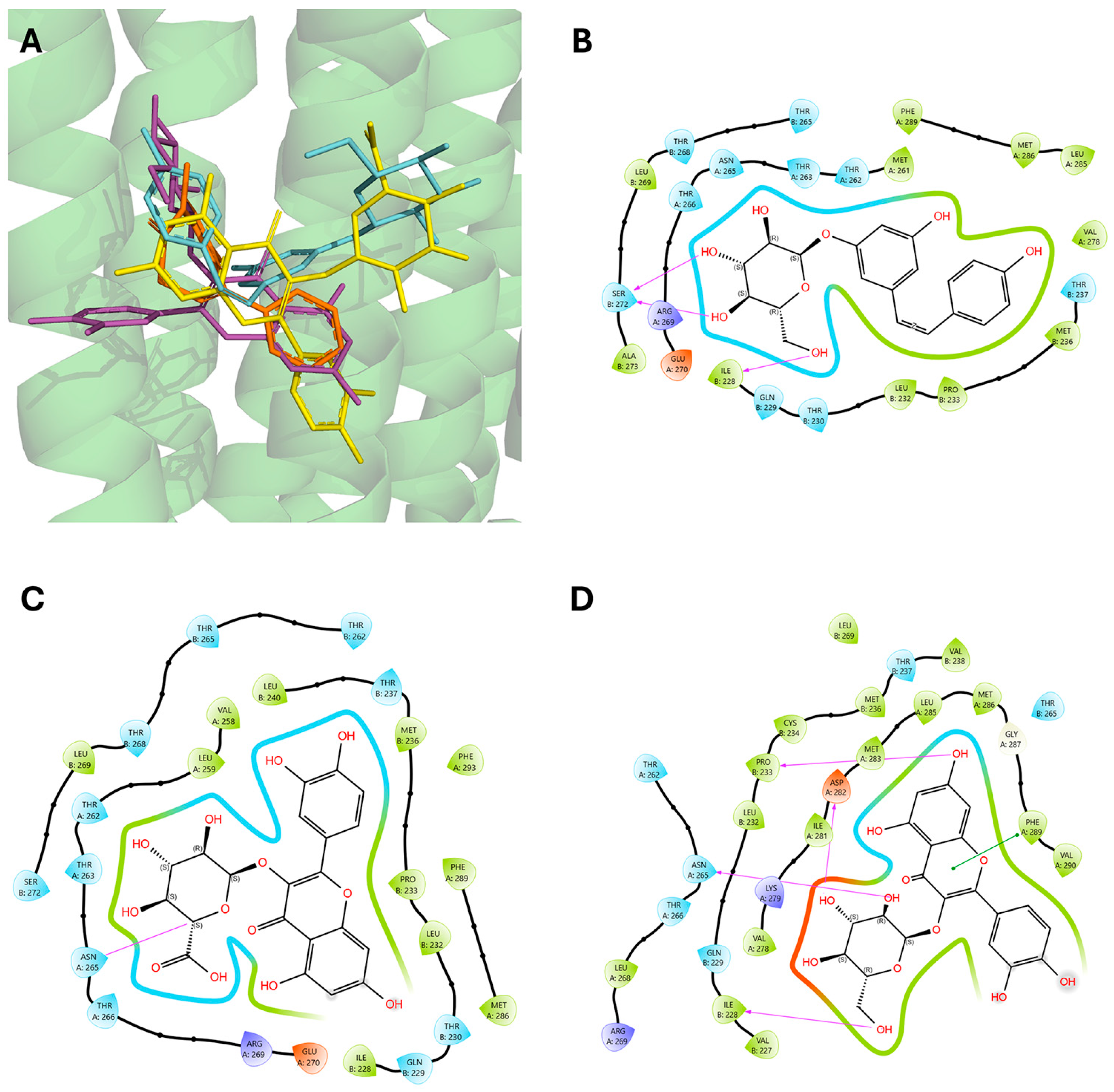 Pharmaceuticals 18 00186 g006