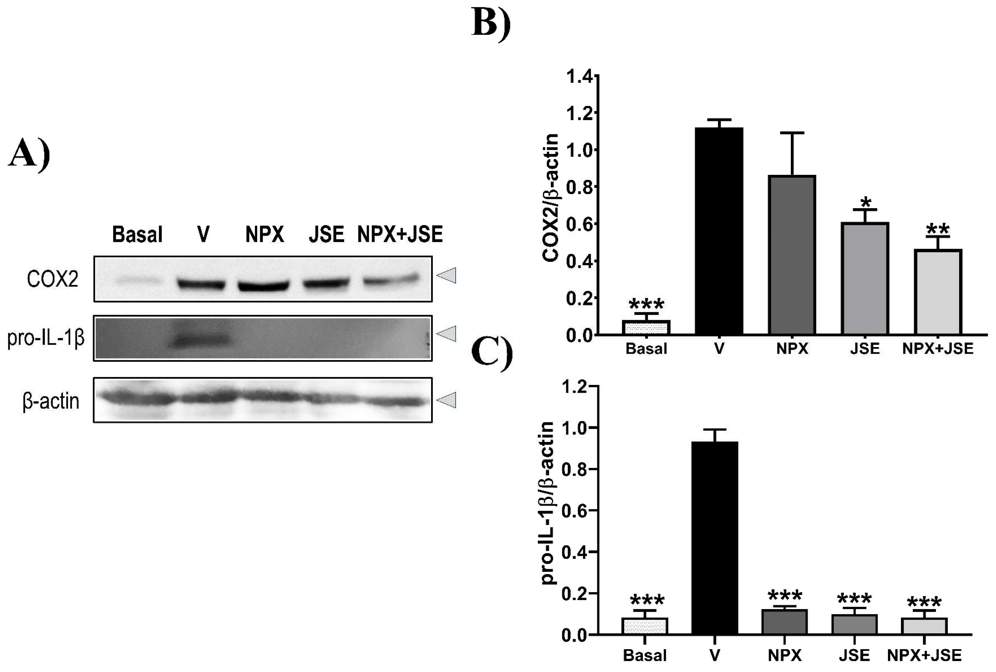 Pharmaceuticals 18 00187 g007