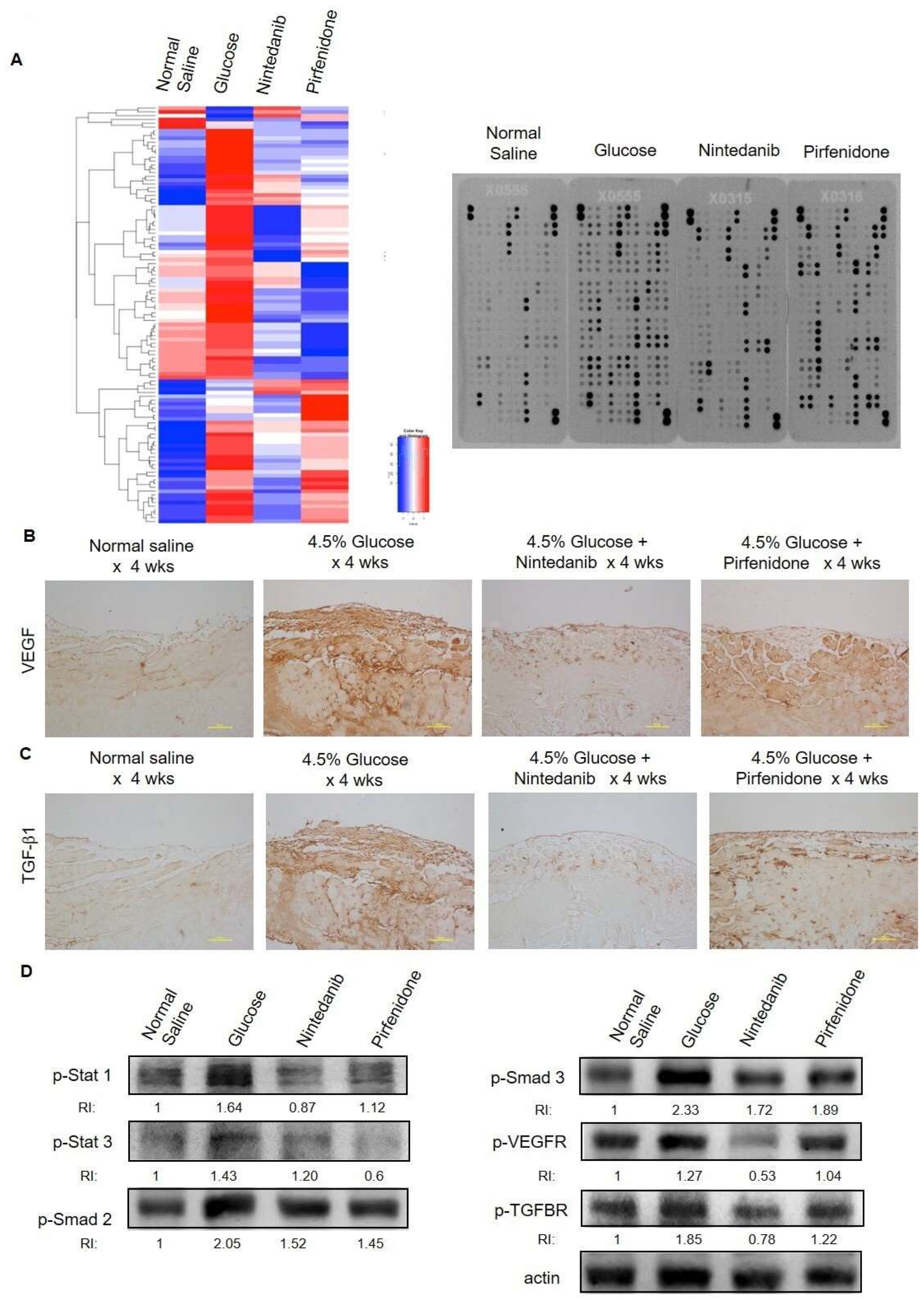 Pharmaceuticals 18 00188 g002