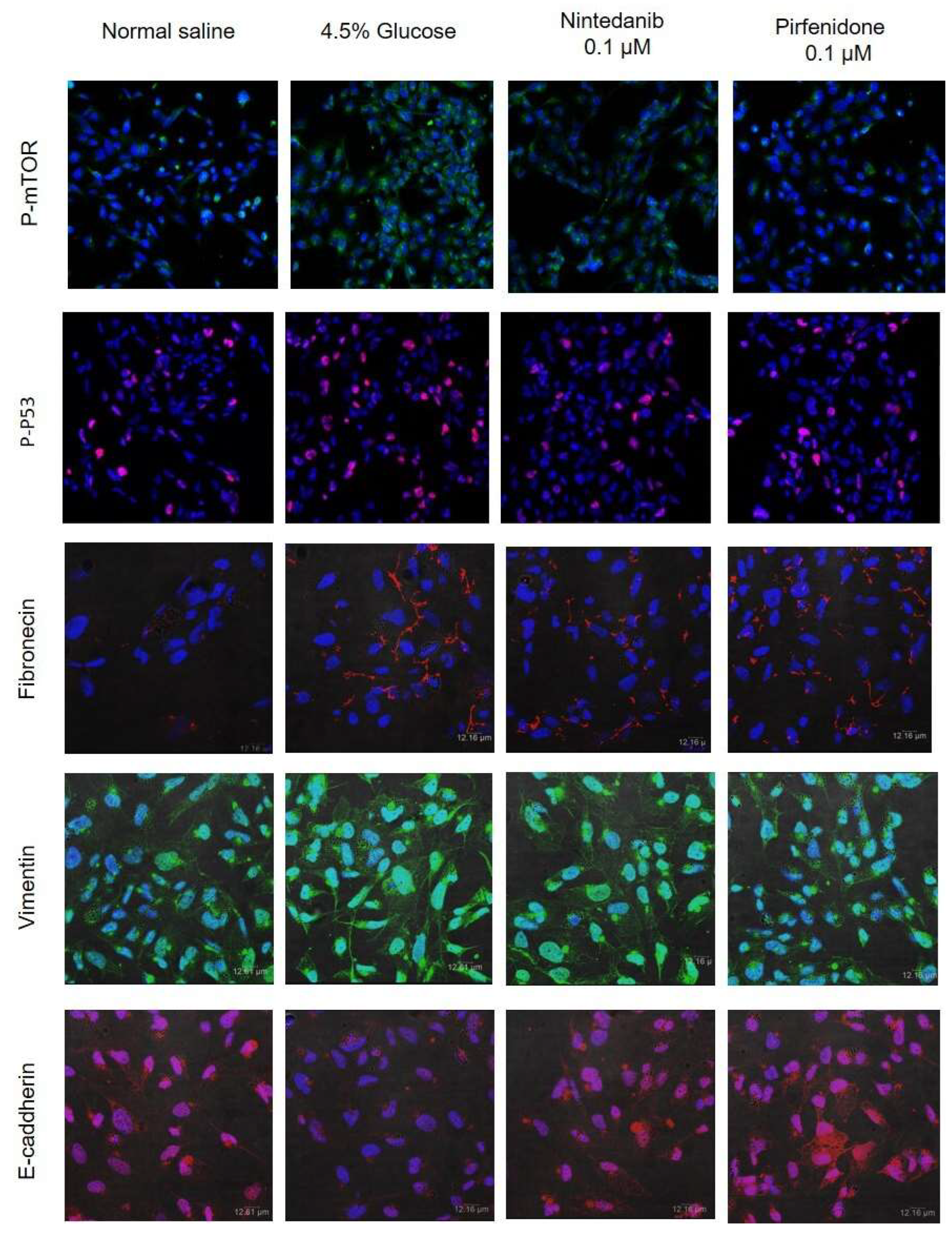 Pharmaceuticals 18 00188 g006