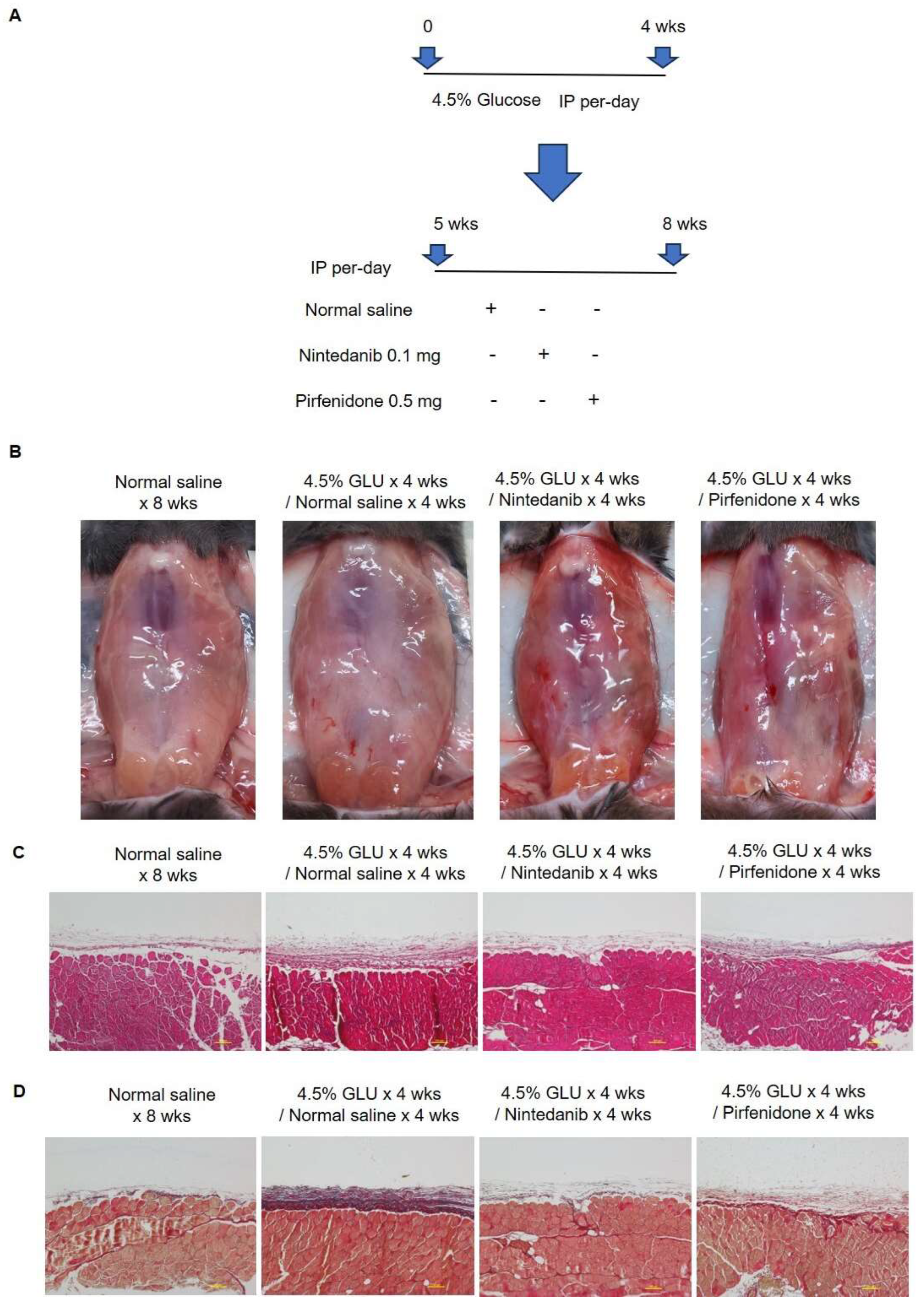 Pharmaceuticals 18 00188 g007