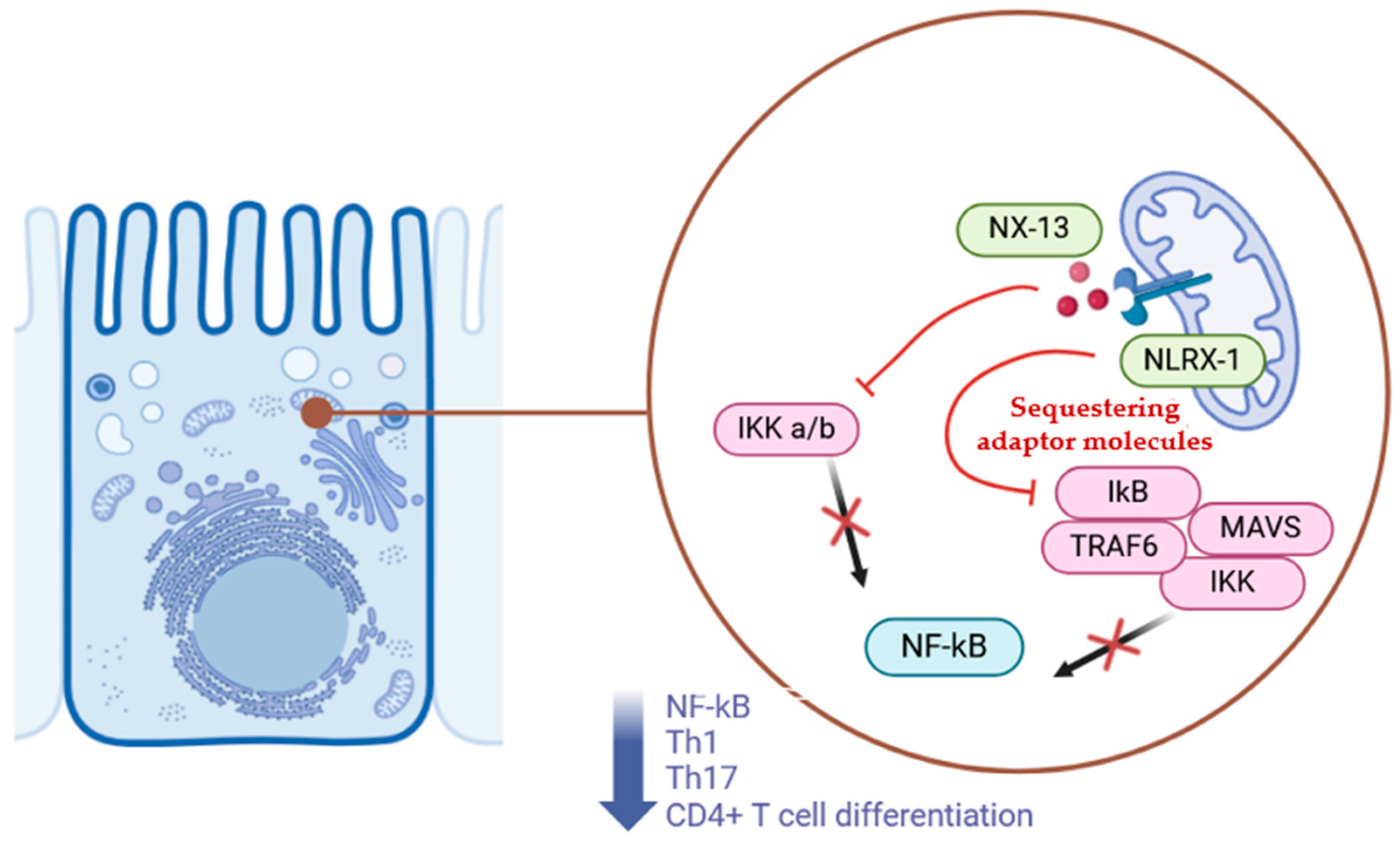 Pharmaceuticals 18 00190 g001