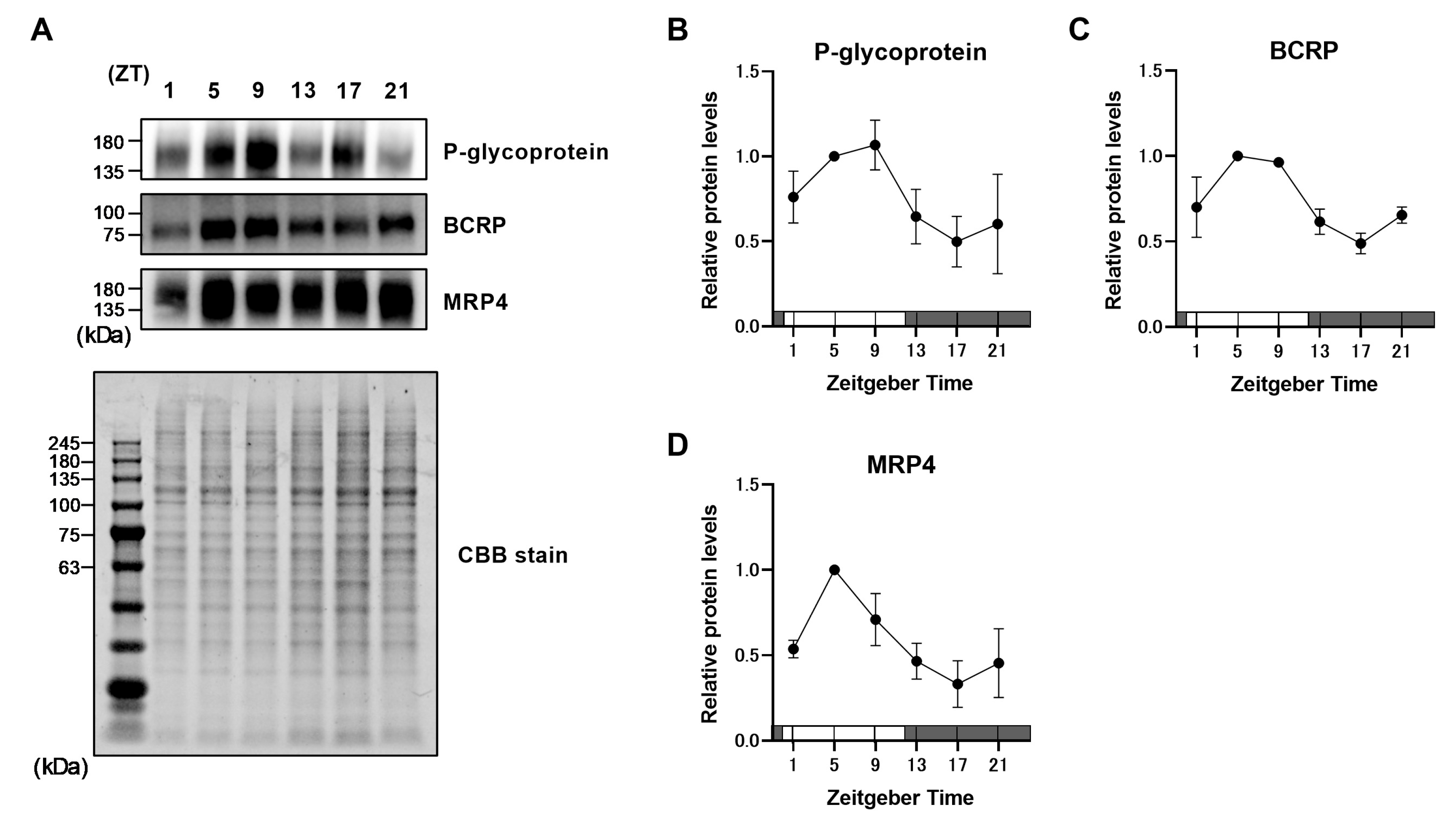 Pharmaceuticals 18 00191 g001