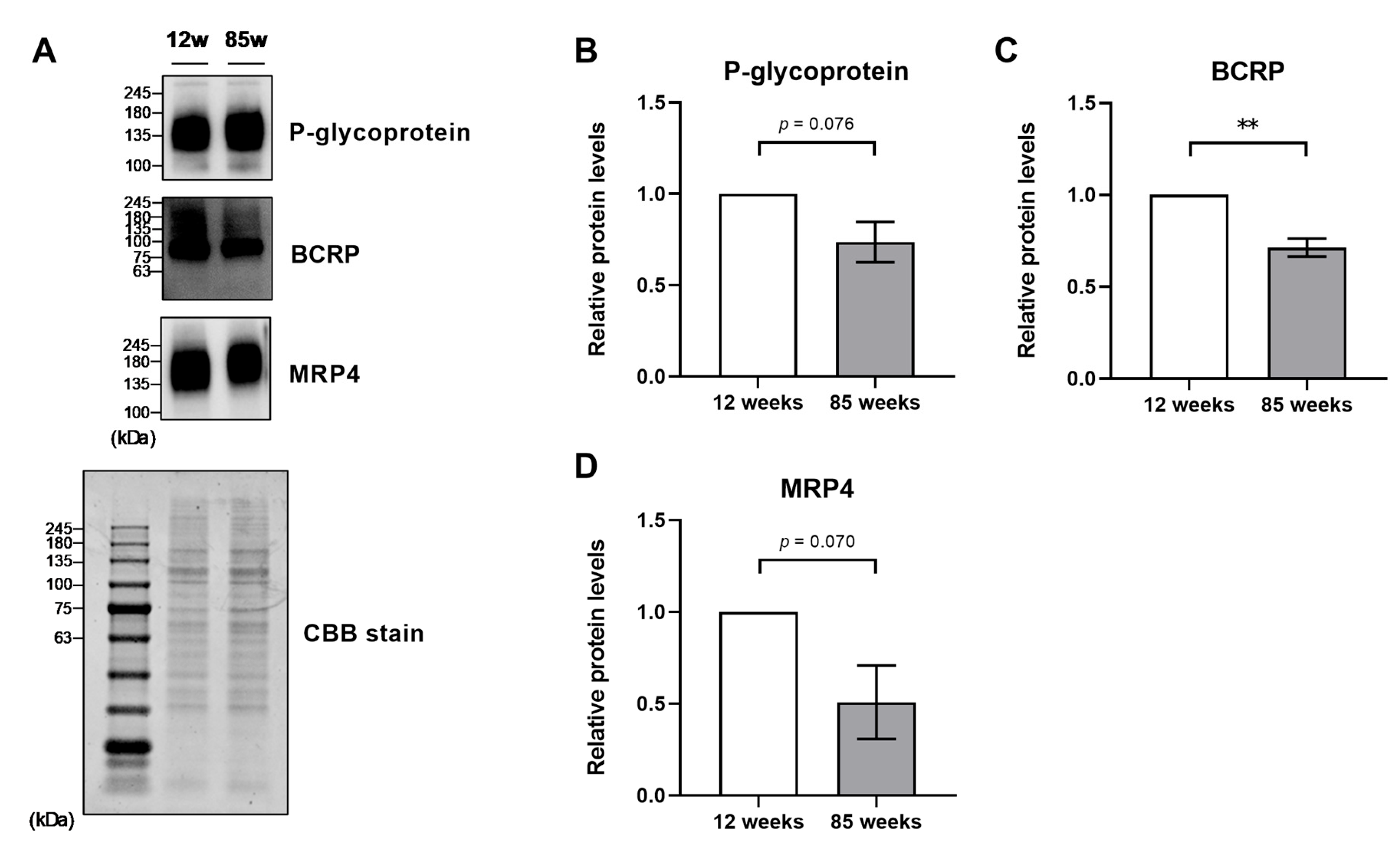 Pharmaceuticals 18 00191 g004