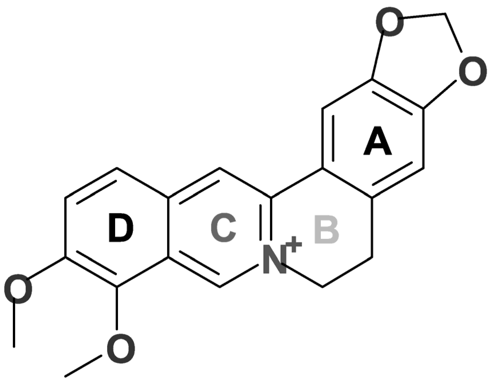 Pharmaceuticals 18 00193 g001