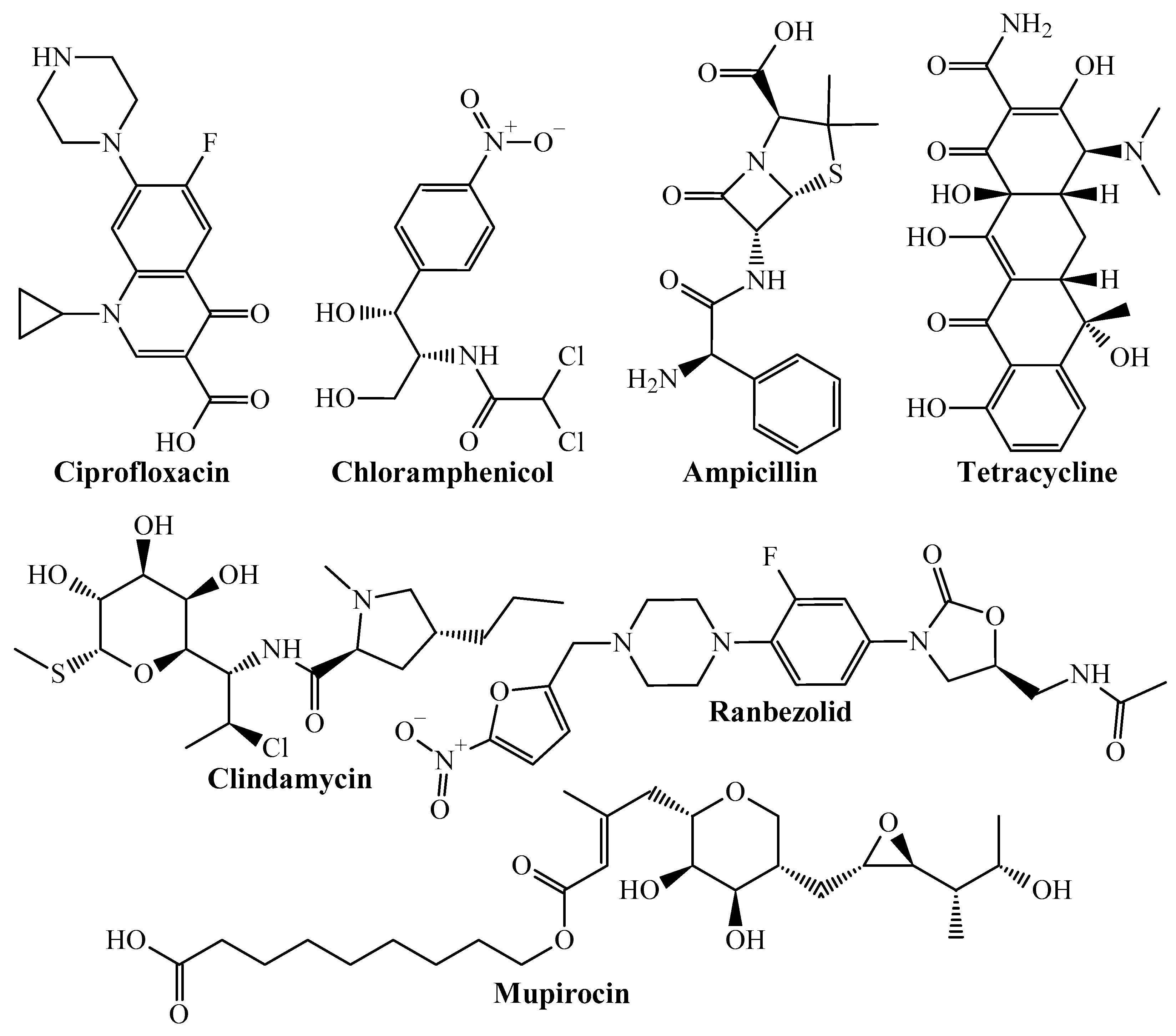 Pharmaceuticals 18 00196 g001