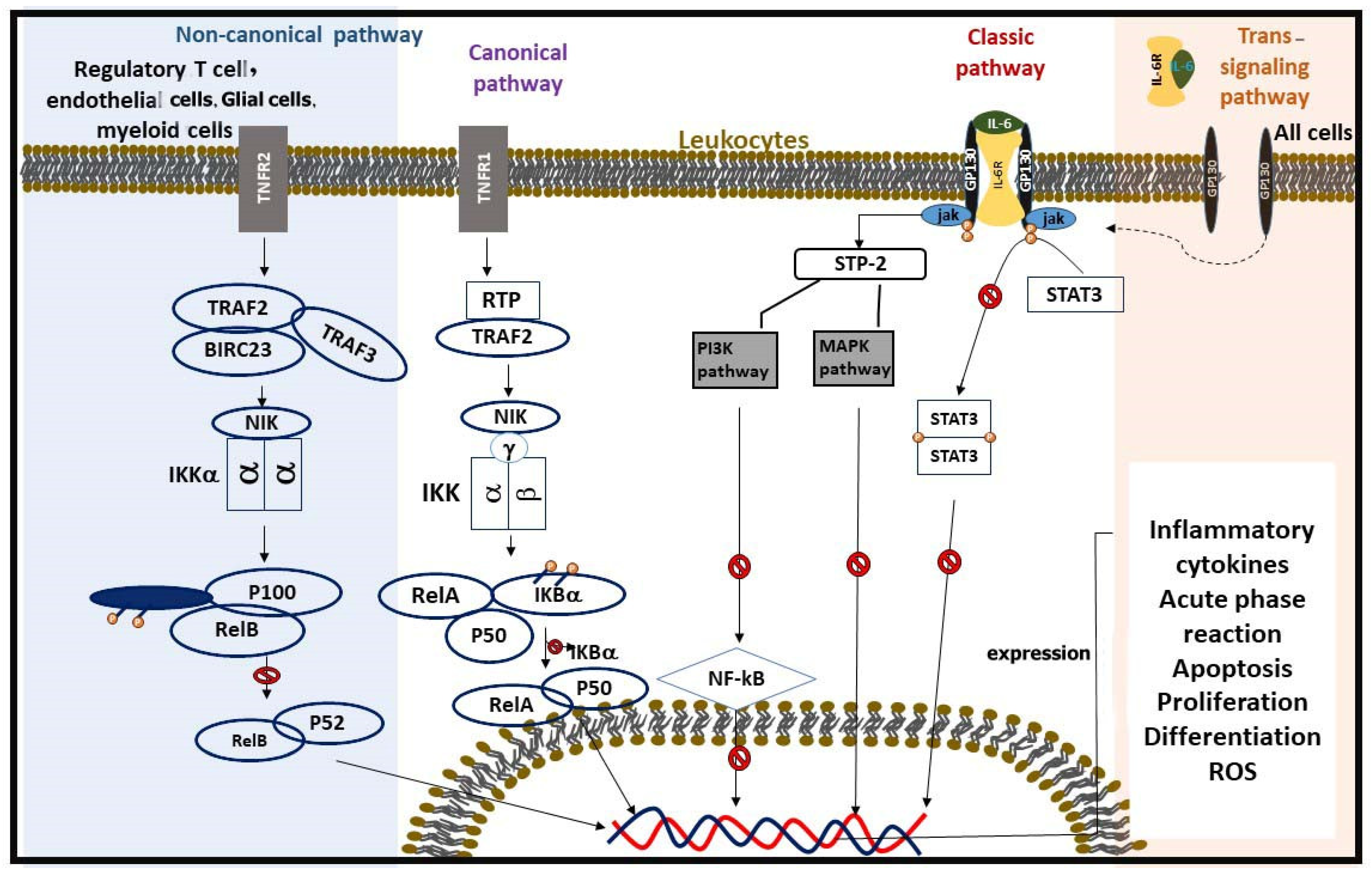 Pharmaceuticals 18 00197 g003