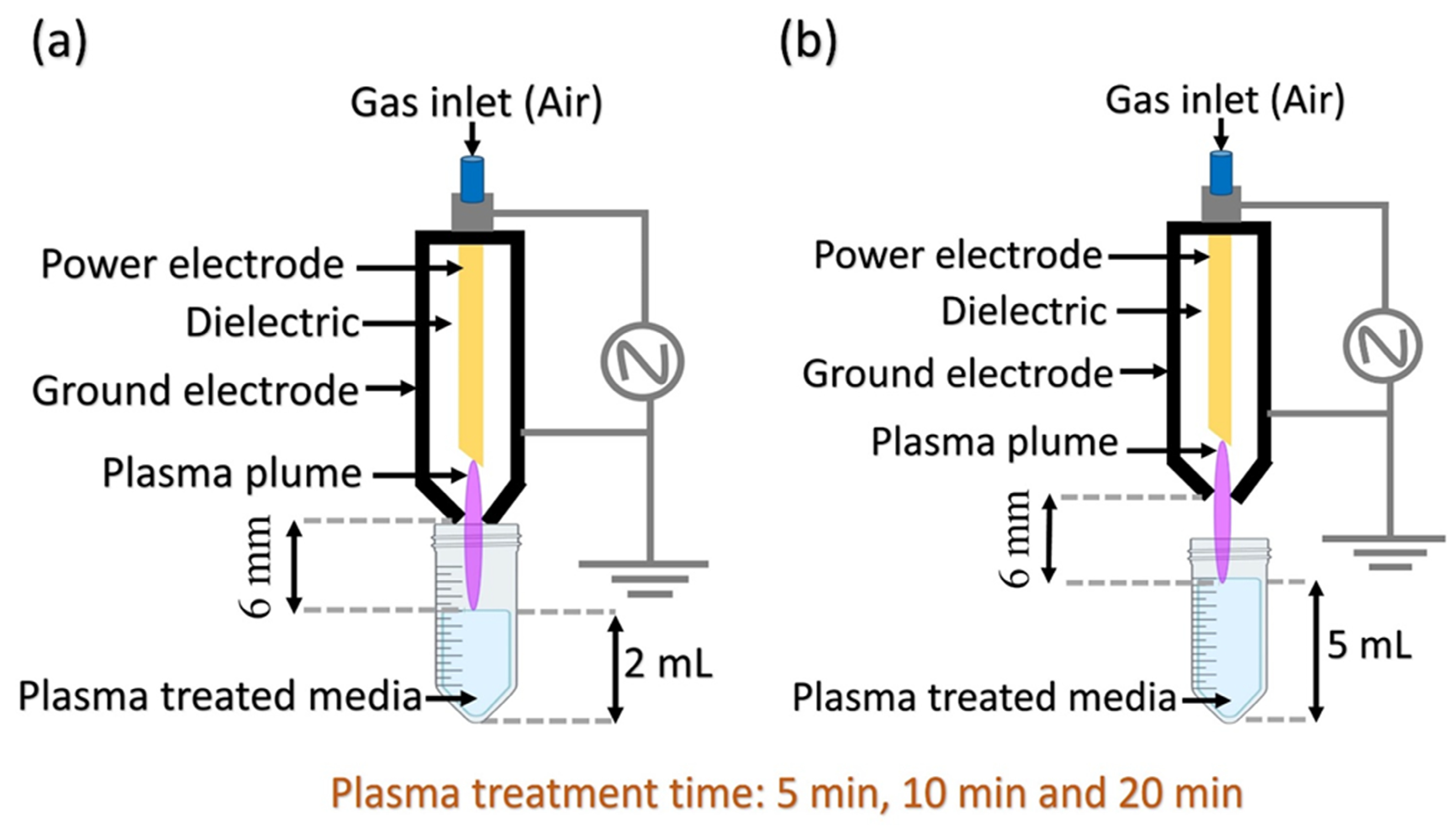 Pharmaceuticals 18 00199 g003