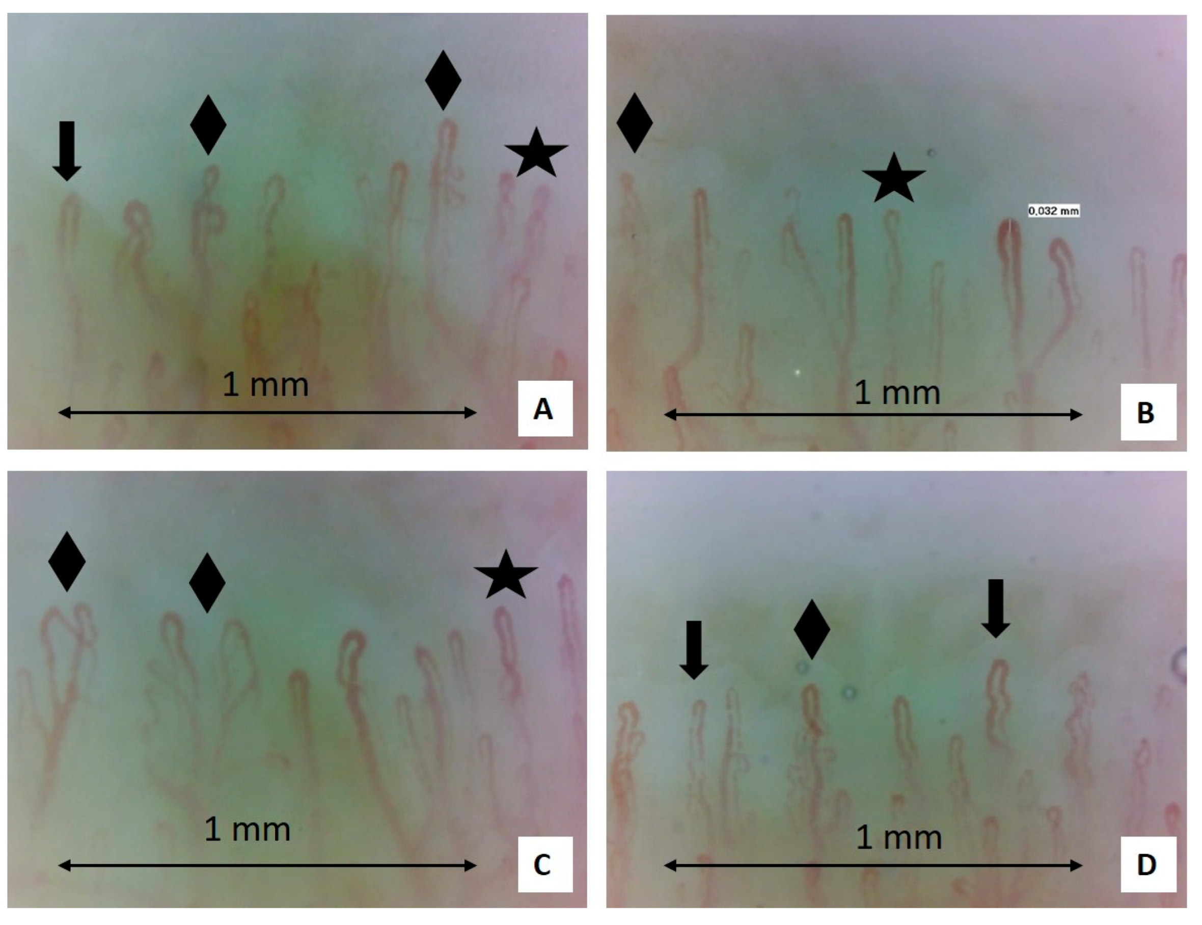 Pharmaceuticals 18 00203 g002