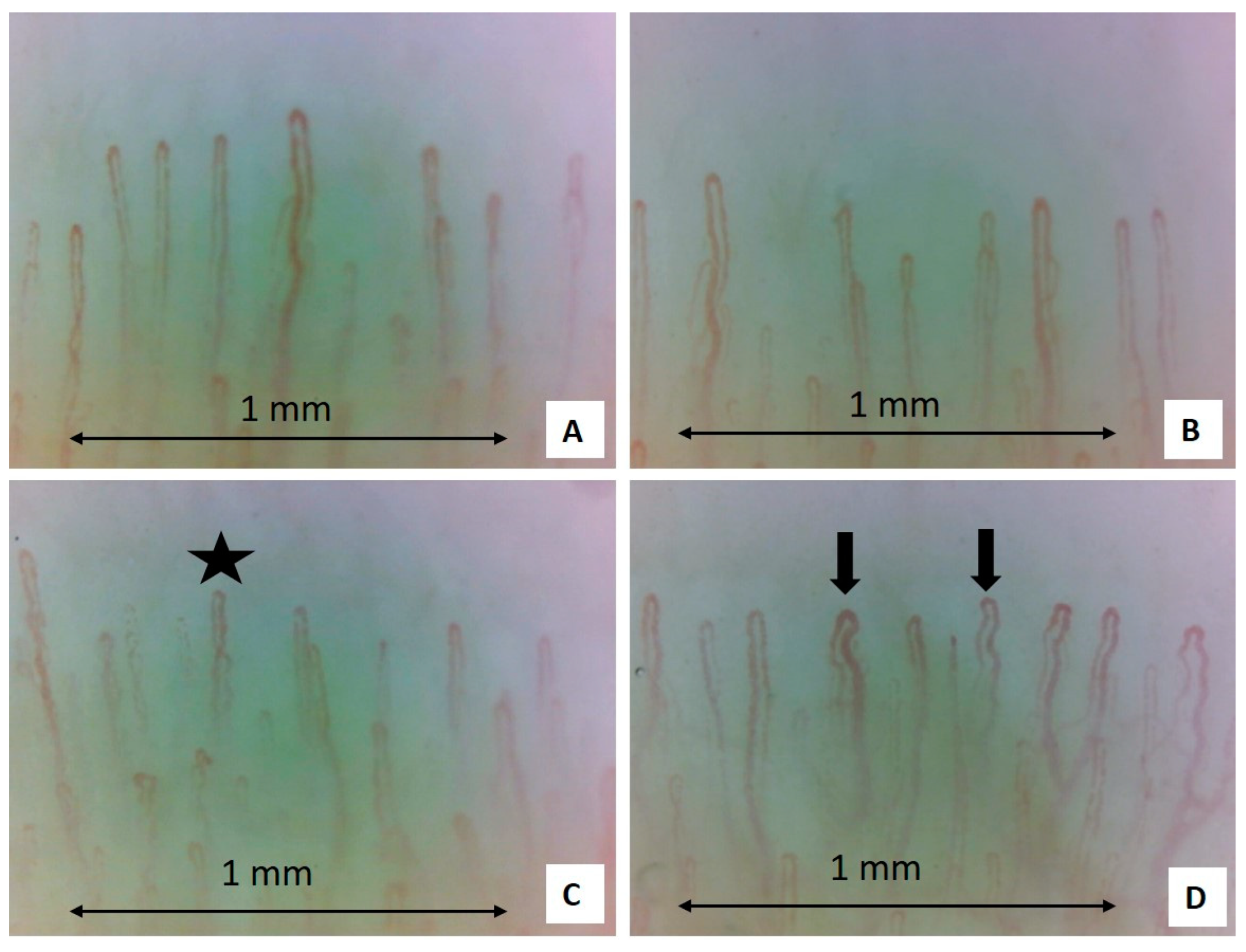 Pharmaceuticals 18 00203 g003
