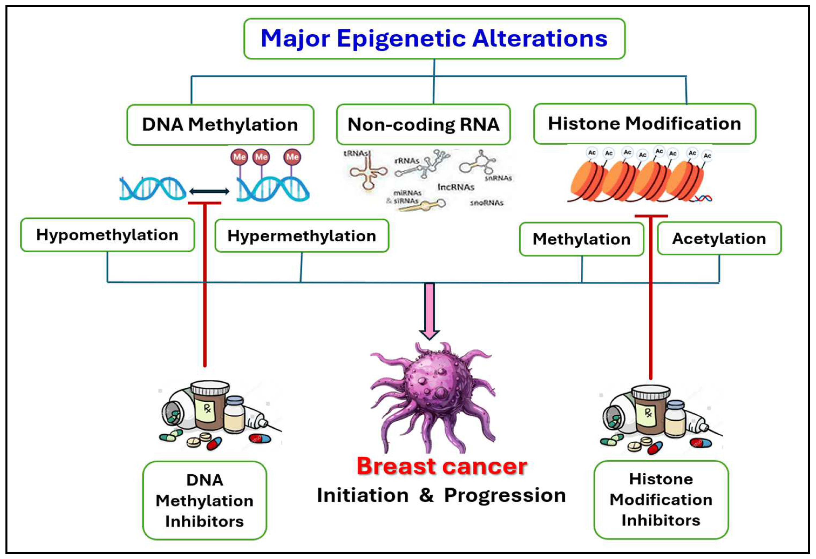 Pharmaceuticals 18 00207 g002