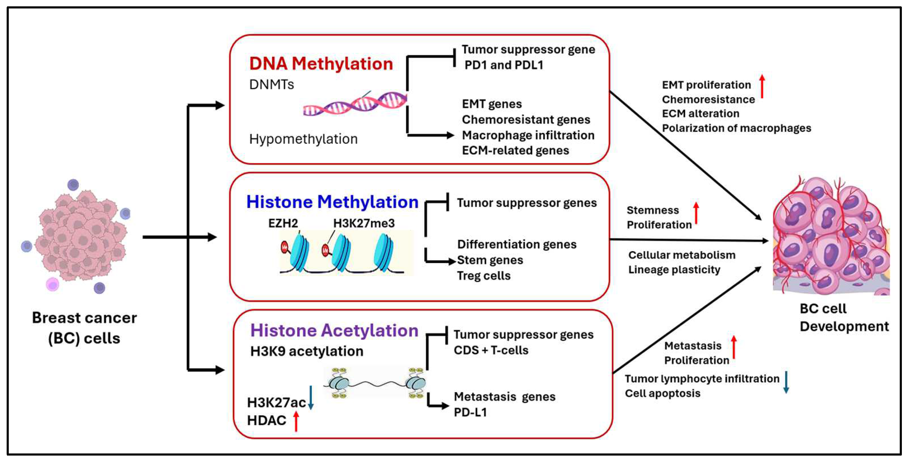 Pharmaceuticals 18 00207 g003