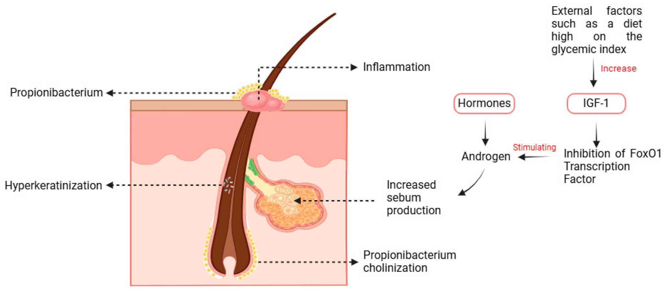 Pharmaceuticals 18 00209 g001
