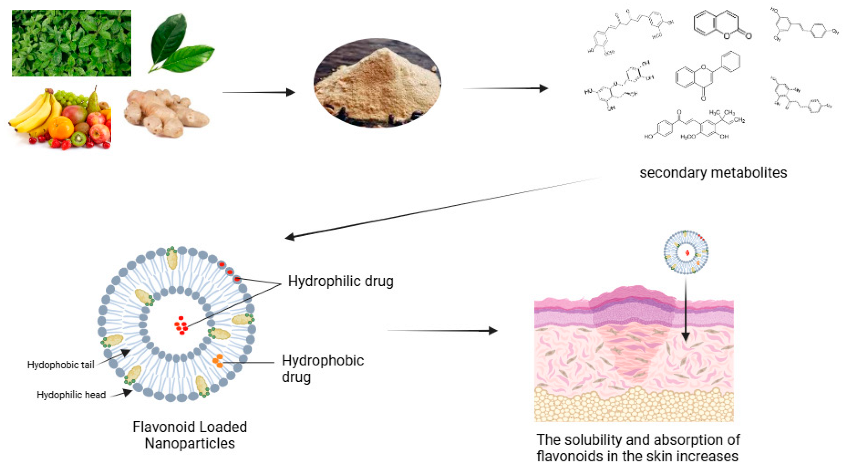 Pharmaceuticals 18 00209 g003