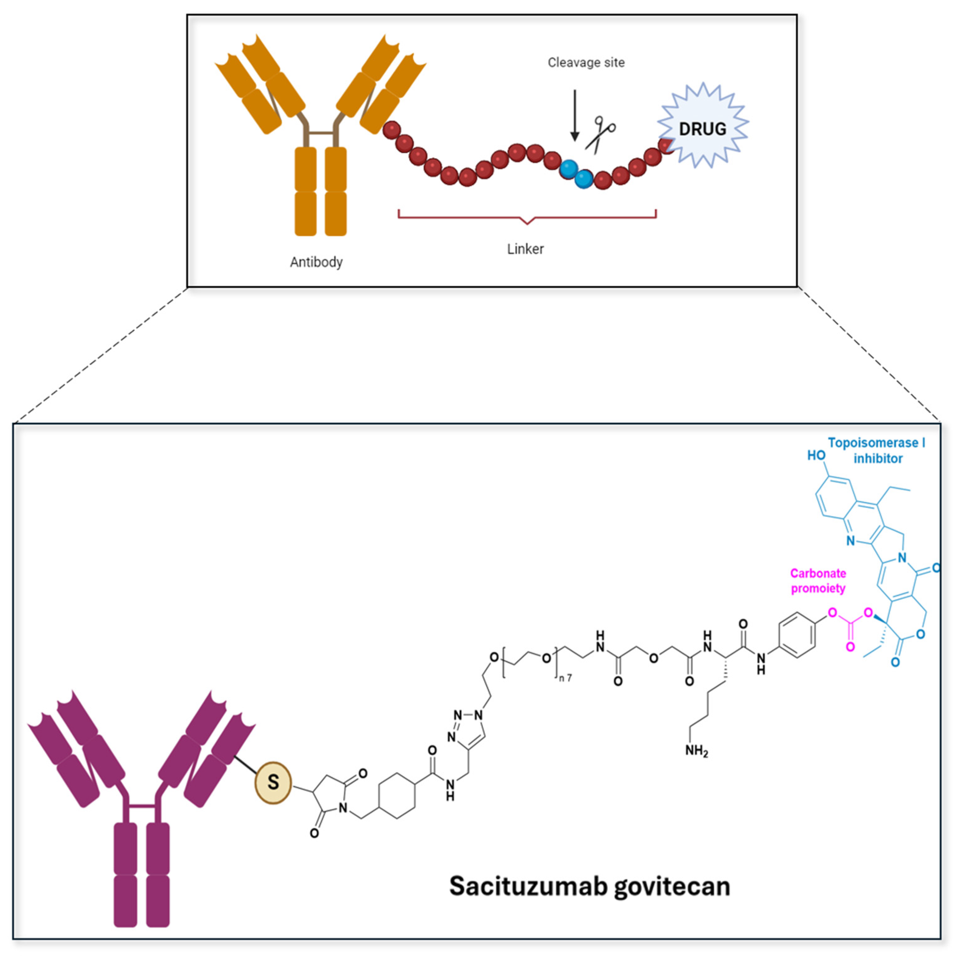 Pharmaceuticals 18 00210 g010 Pharmaceuticals 18 00210 g010
