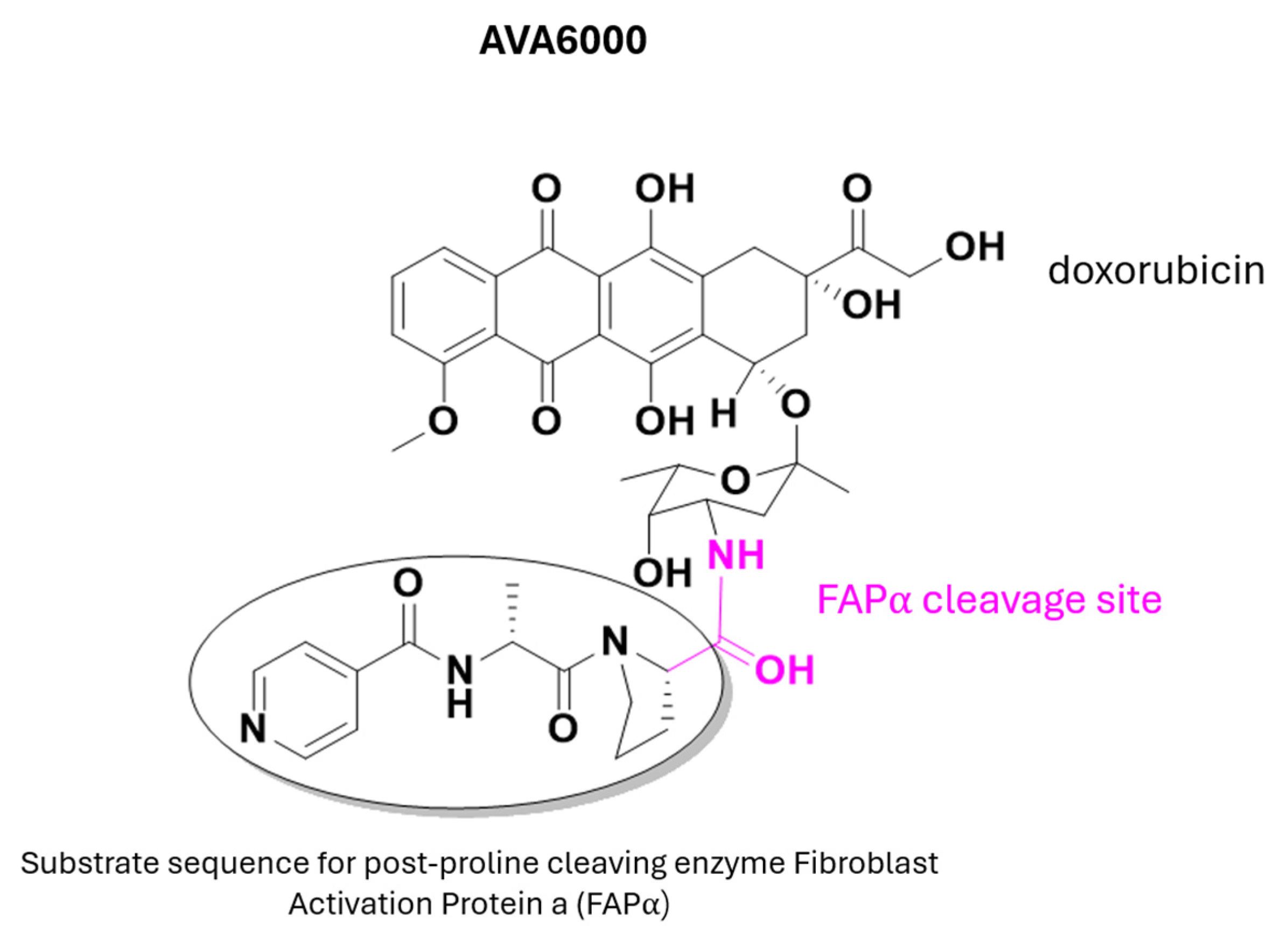 Pharmaceuticals 18 00210 g011 Pharmaceuticals 18 00210 g011