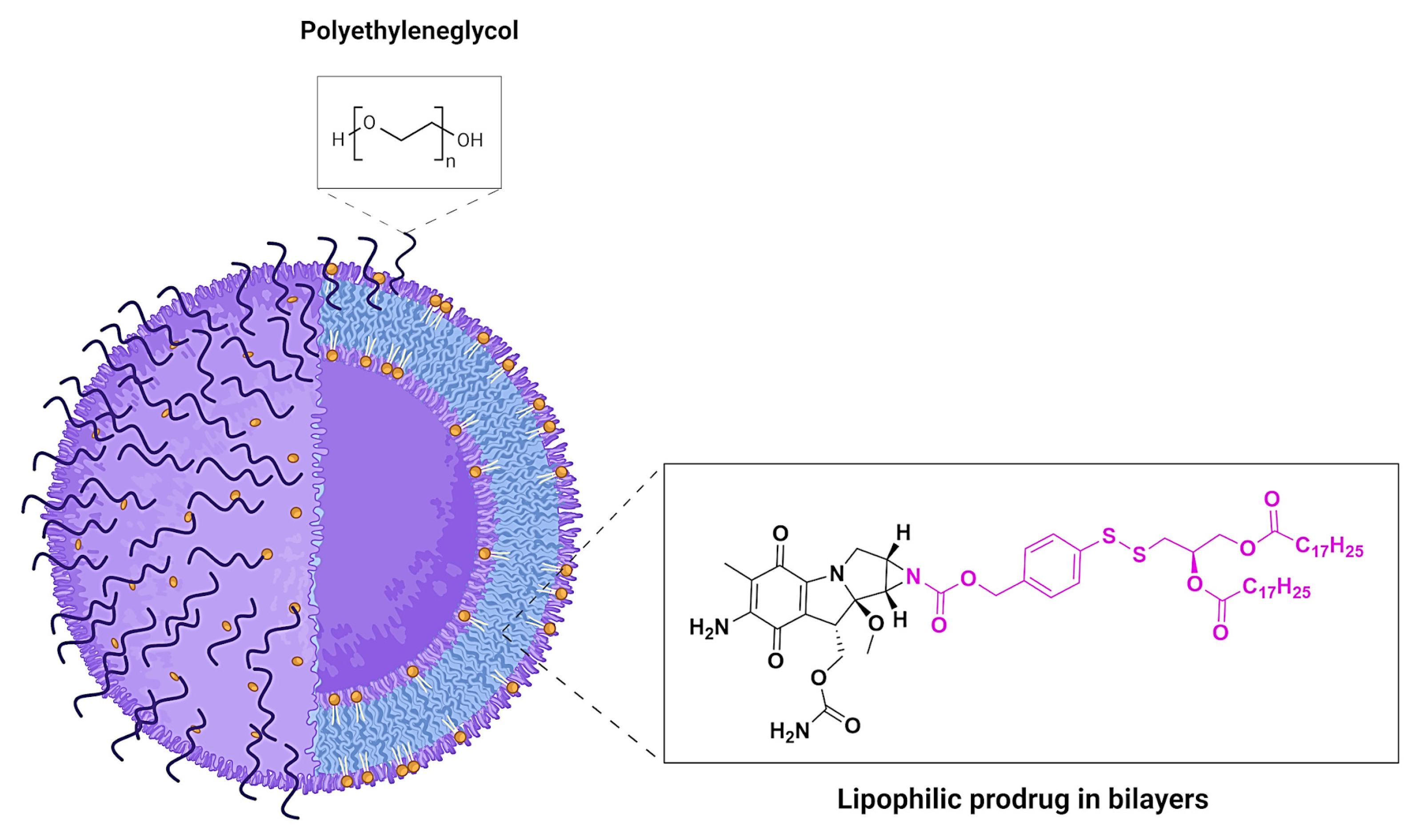 Pharmaceuticals 18 00210 g012 Pharmaceuticals 18 00210 g012