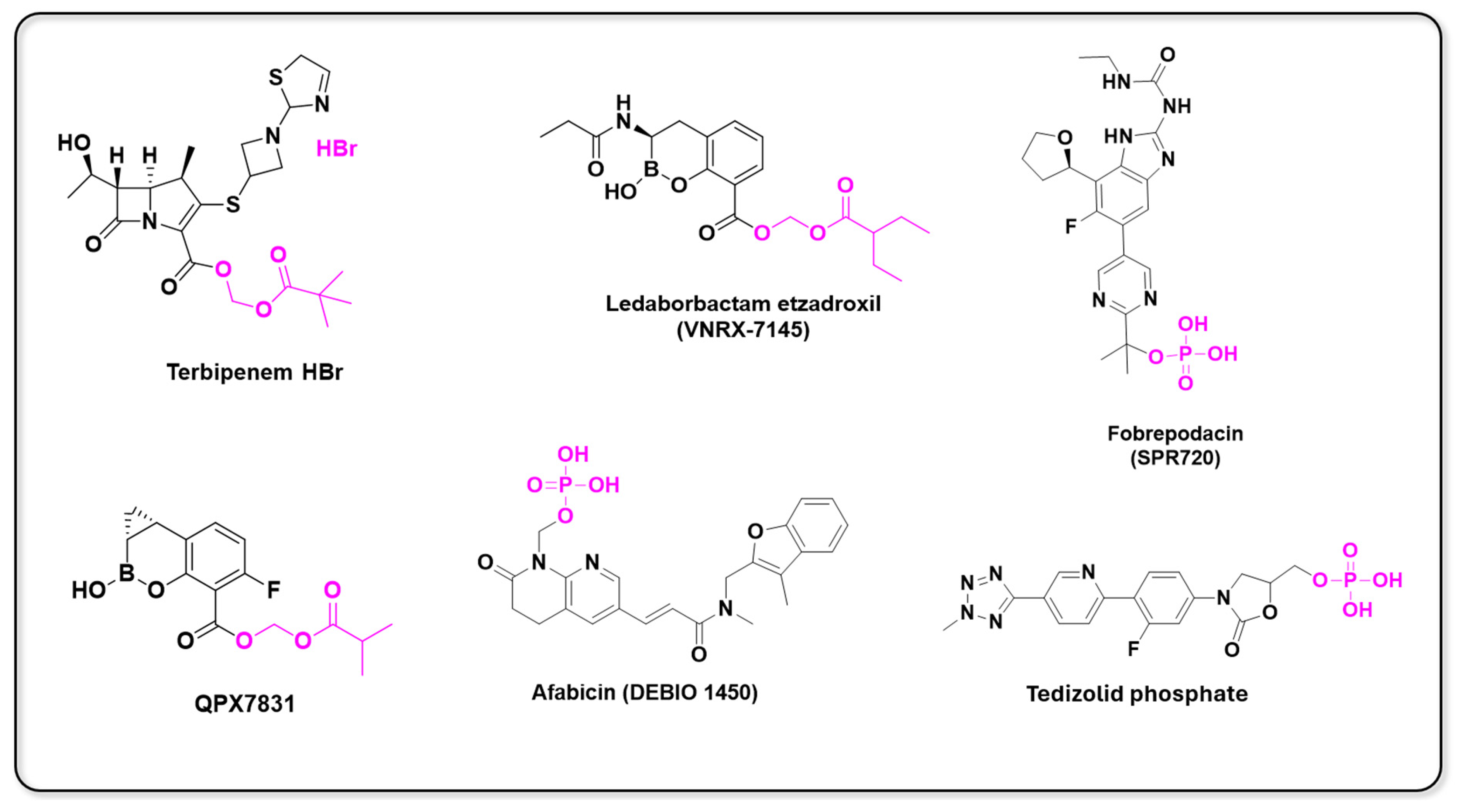 Pharmaceuticals 18 00210 g013 Pharmaceuticals 18 00210 g013