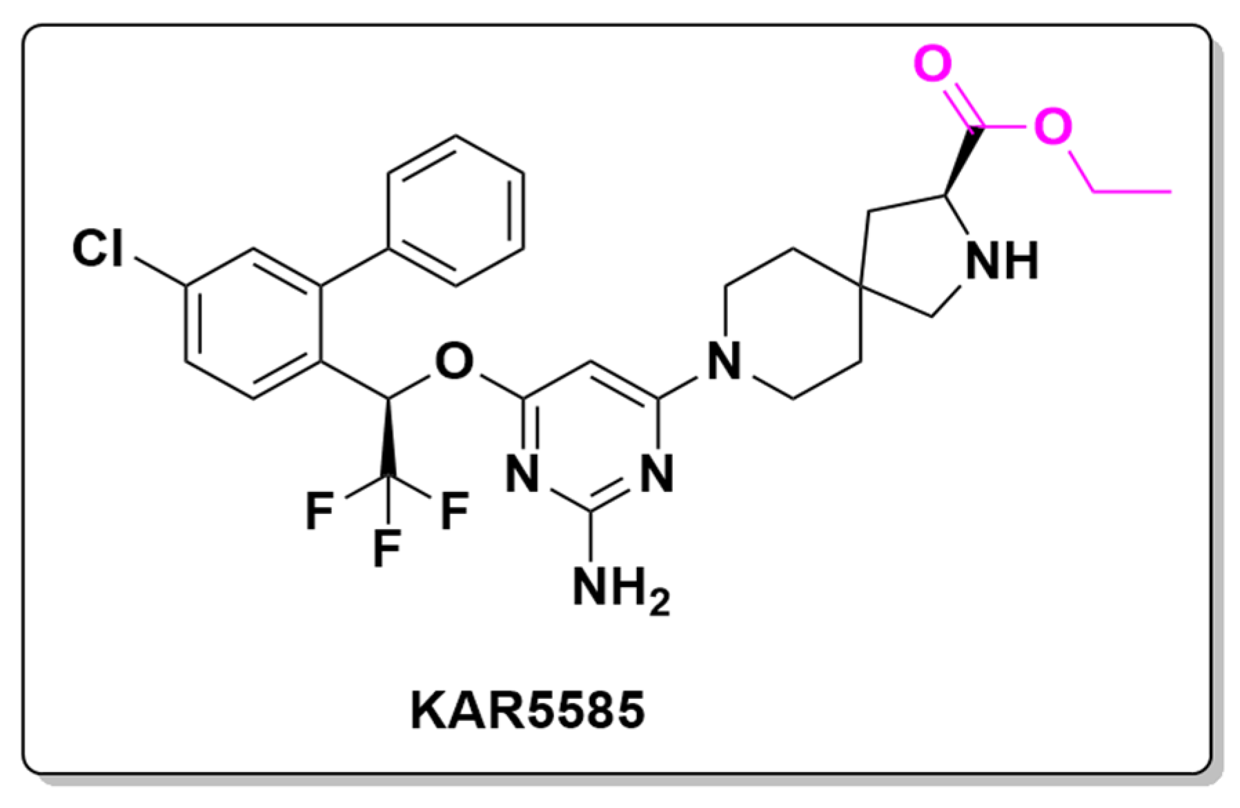 Pharmaceuticals 18 00210 g022 Pharmaceuticals 18 00210 g022