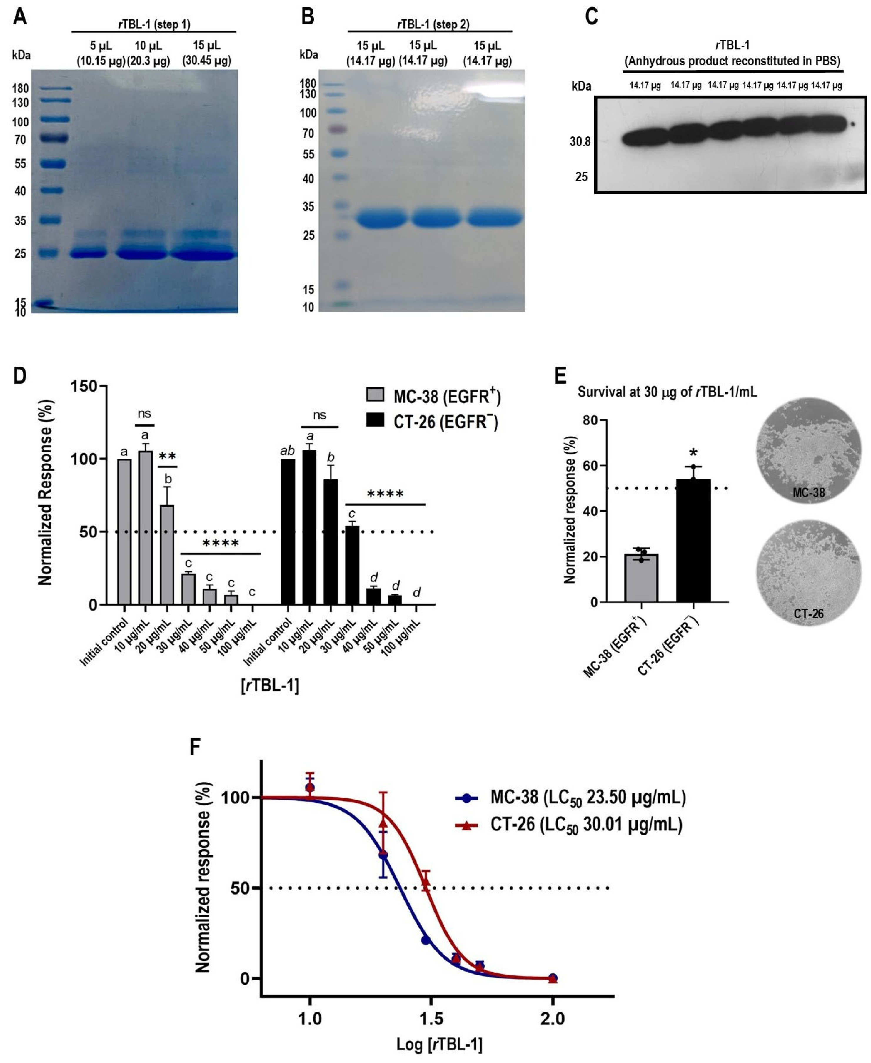 Pharmaceuticals 18 00213 g001