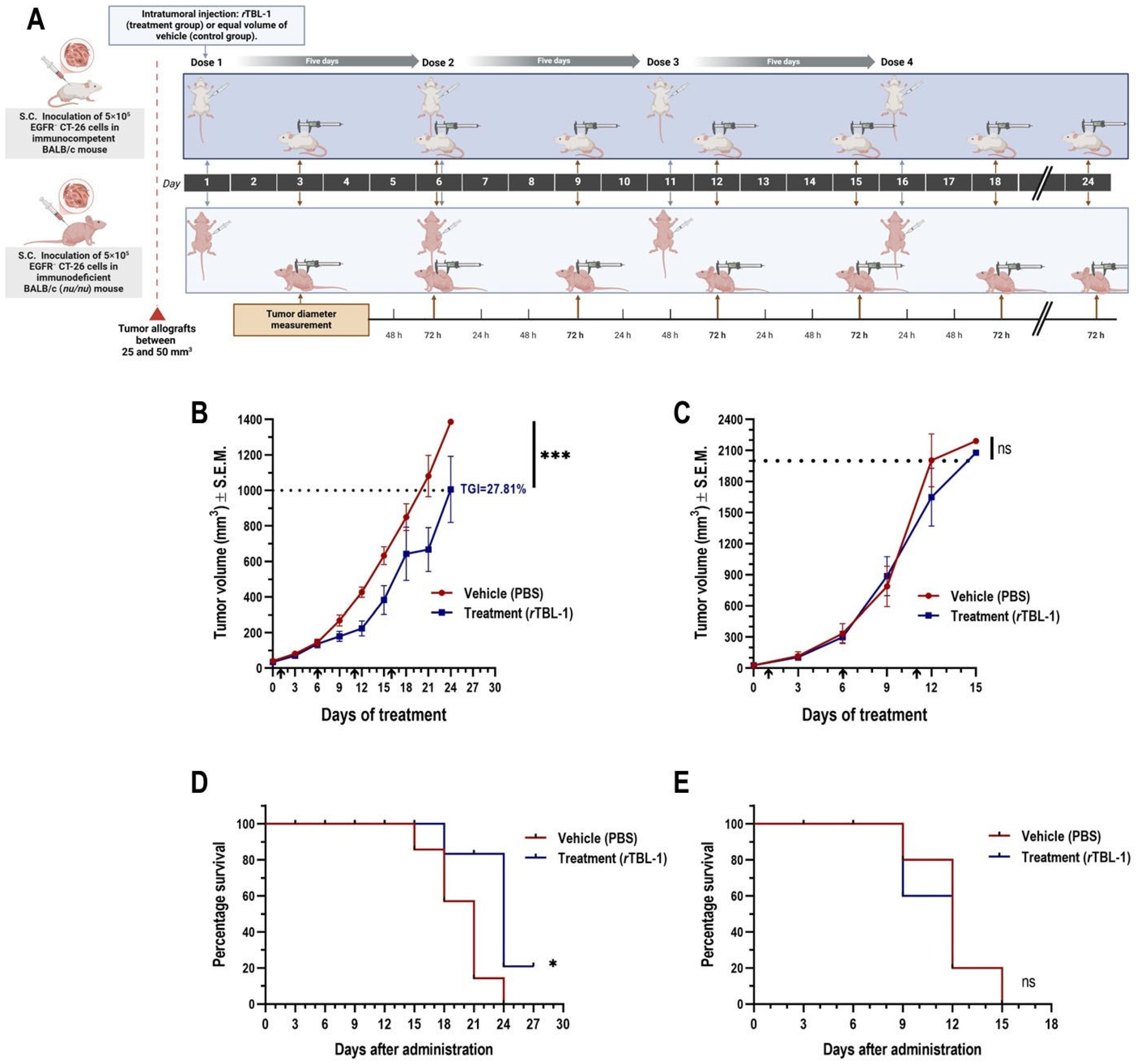 Pharmaceuticals 18 00213 g004