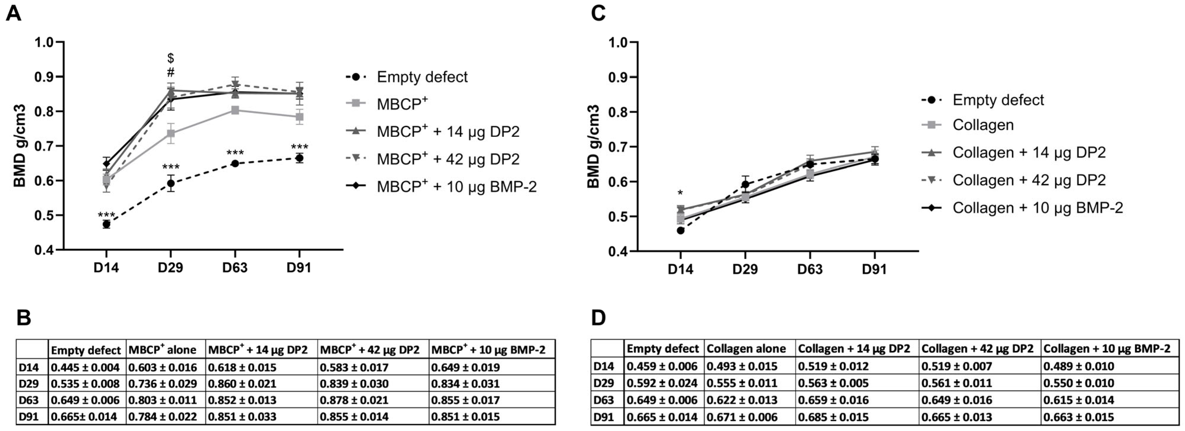 Pharmaceuticals 18 00215 g002