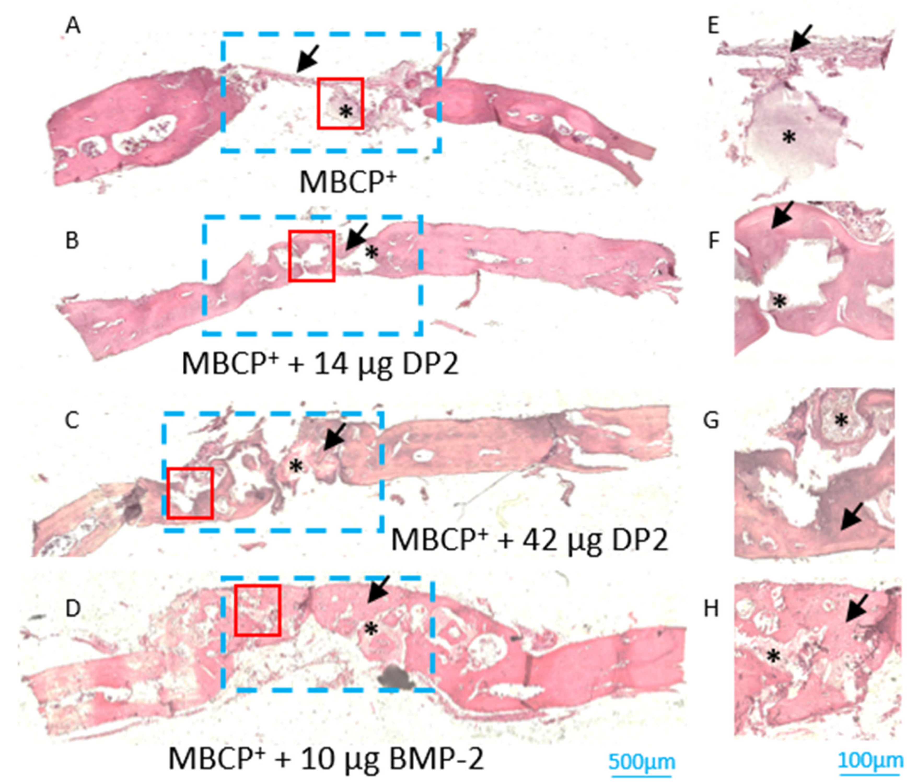 Pharmaceuticals 18 00215 g005
