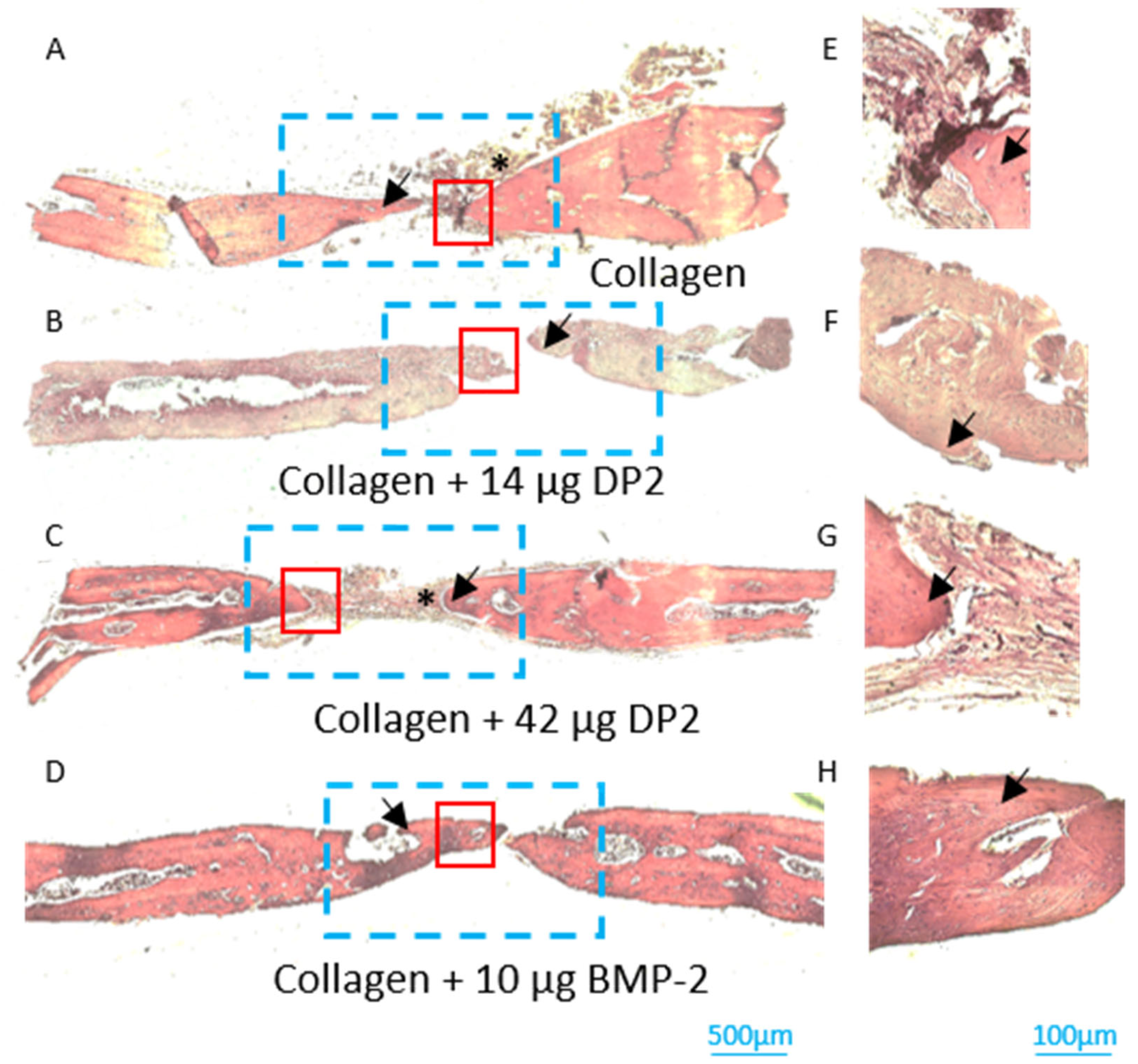 Pharmaceuticals 18 00215 g006