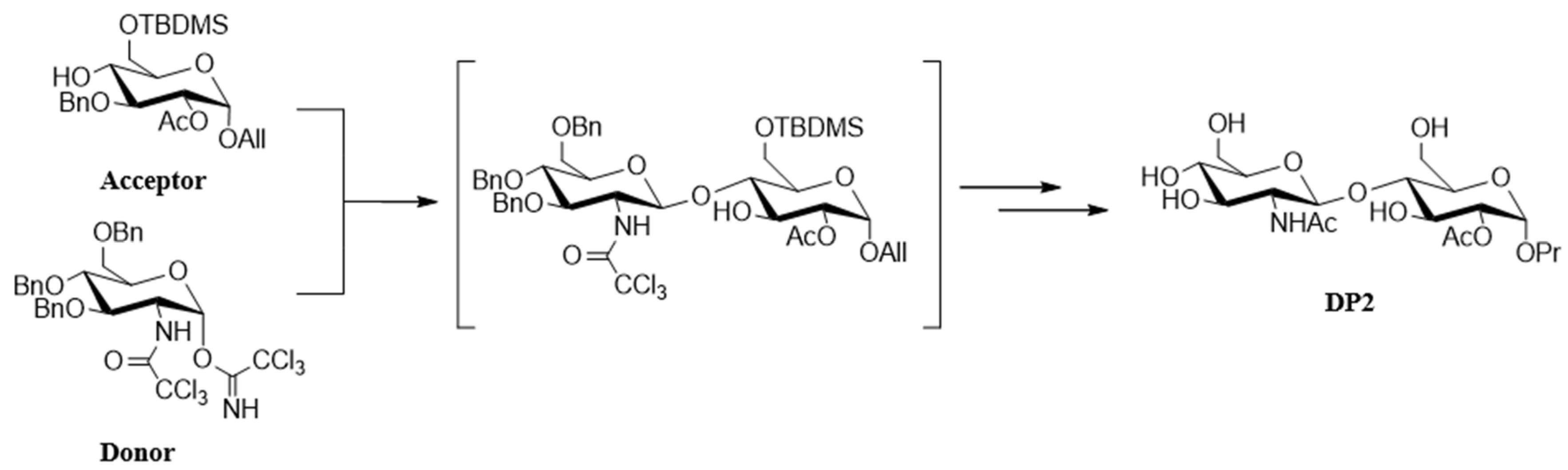 Pharmaceuticals 18 00215 g007