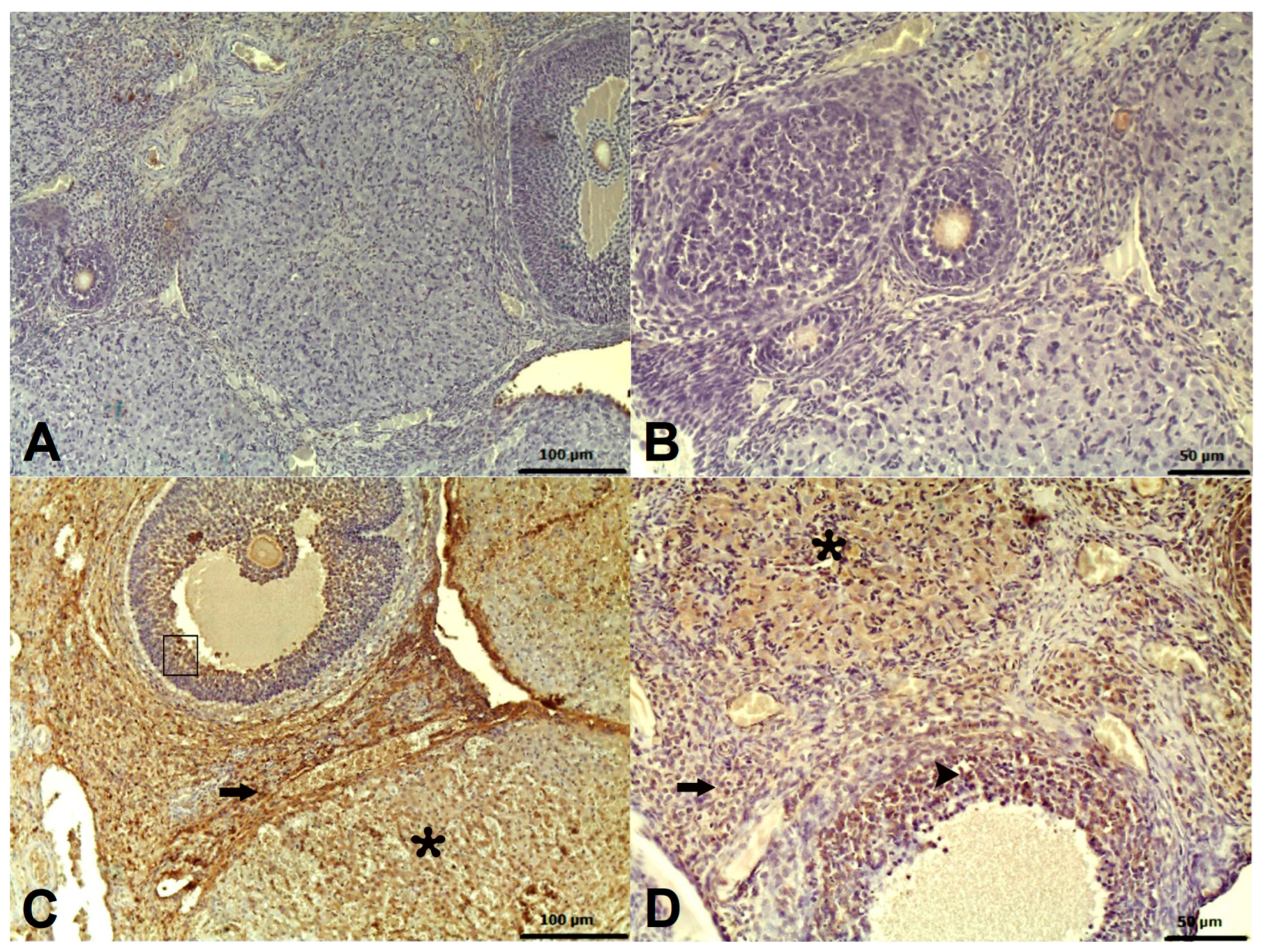 Pharmaceuticals 18 00216 g003