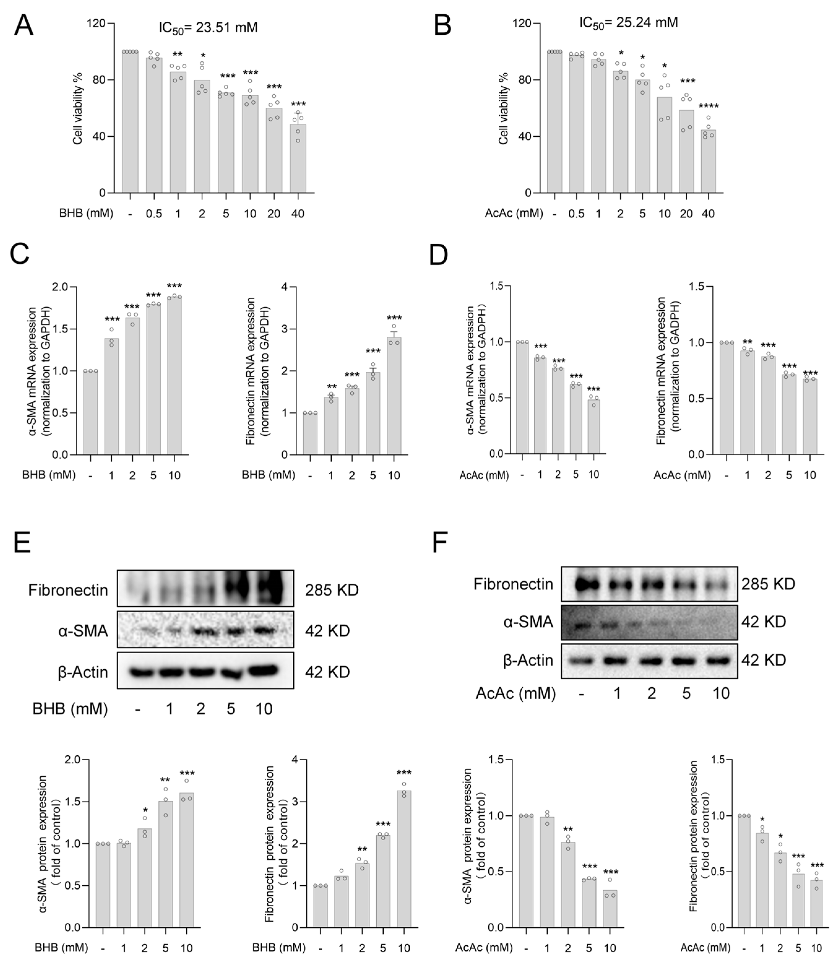 Pharmaceuticals 18 00219 g001