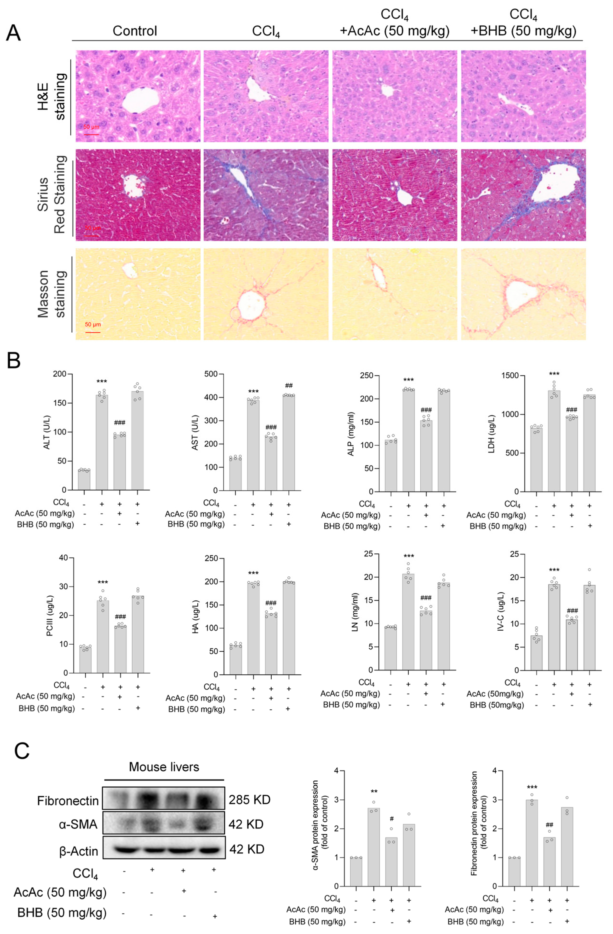 Pharmaceuticals 18 00219 g002