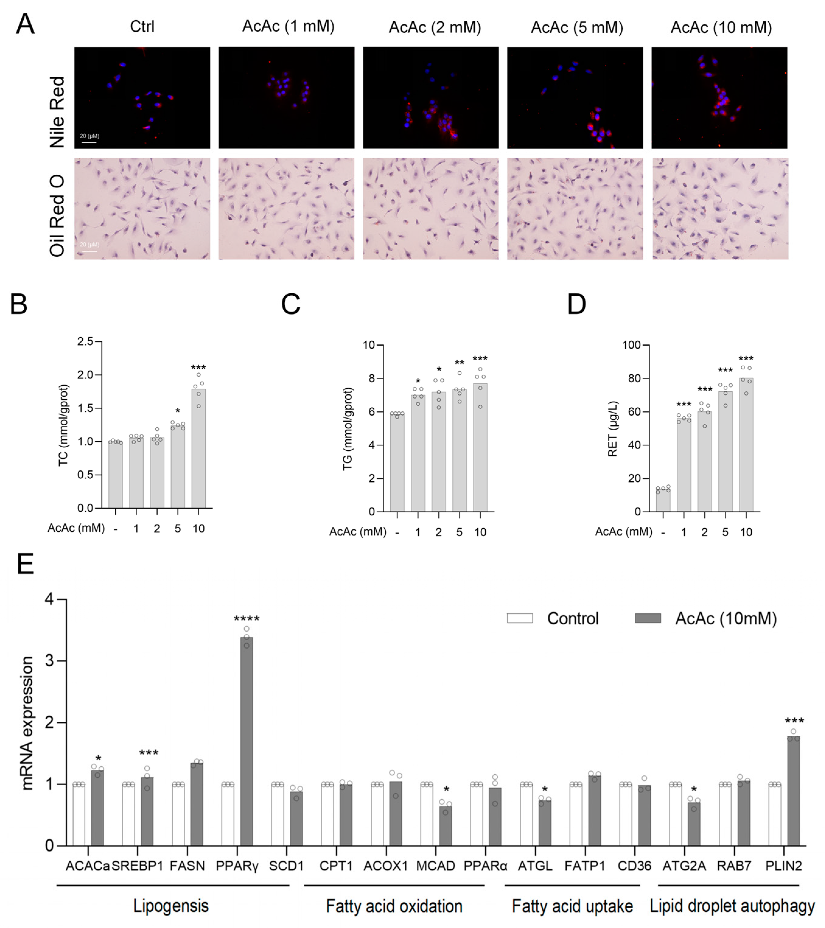 Pharmaceuticals 18 00219 g003