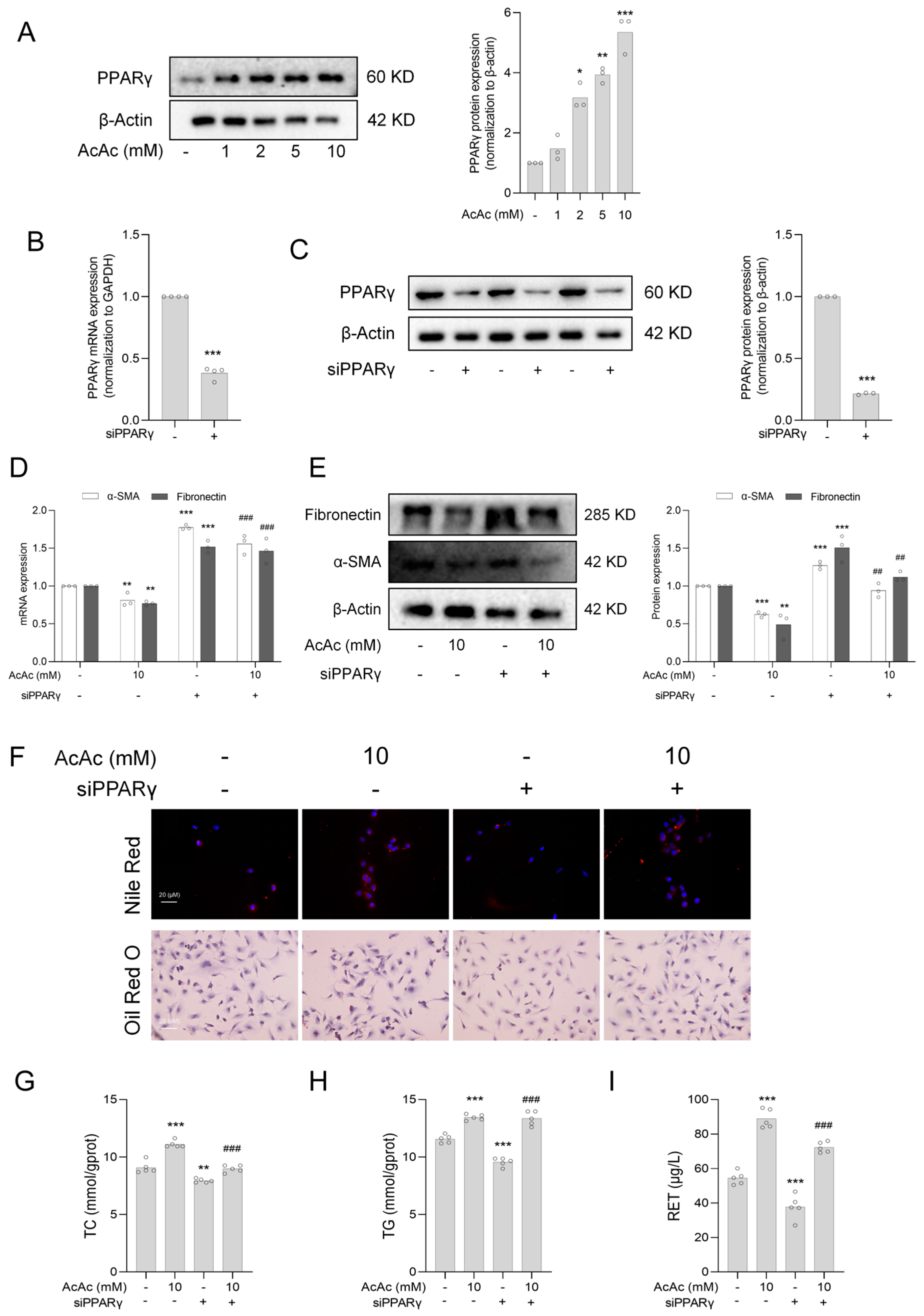 Pharmaceuticals 18 00219 g004