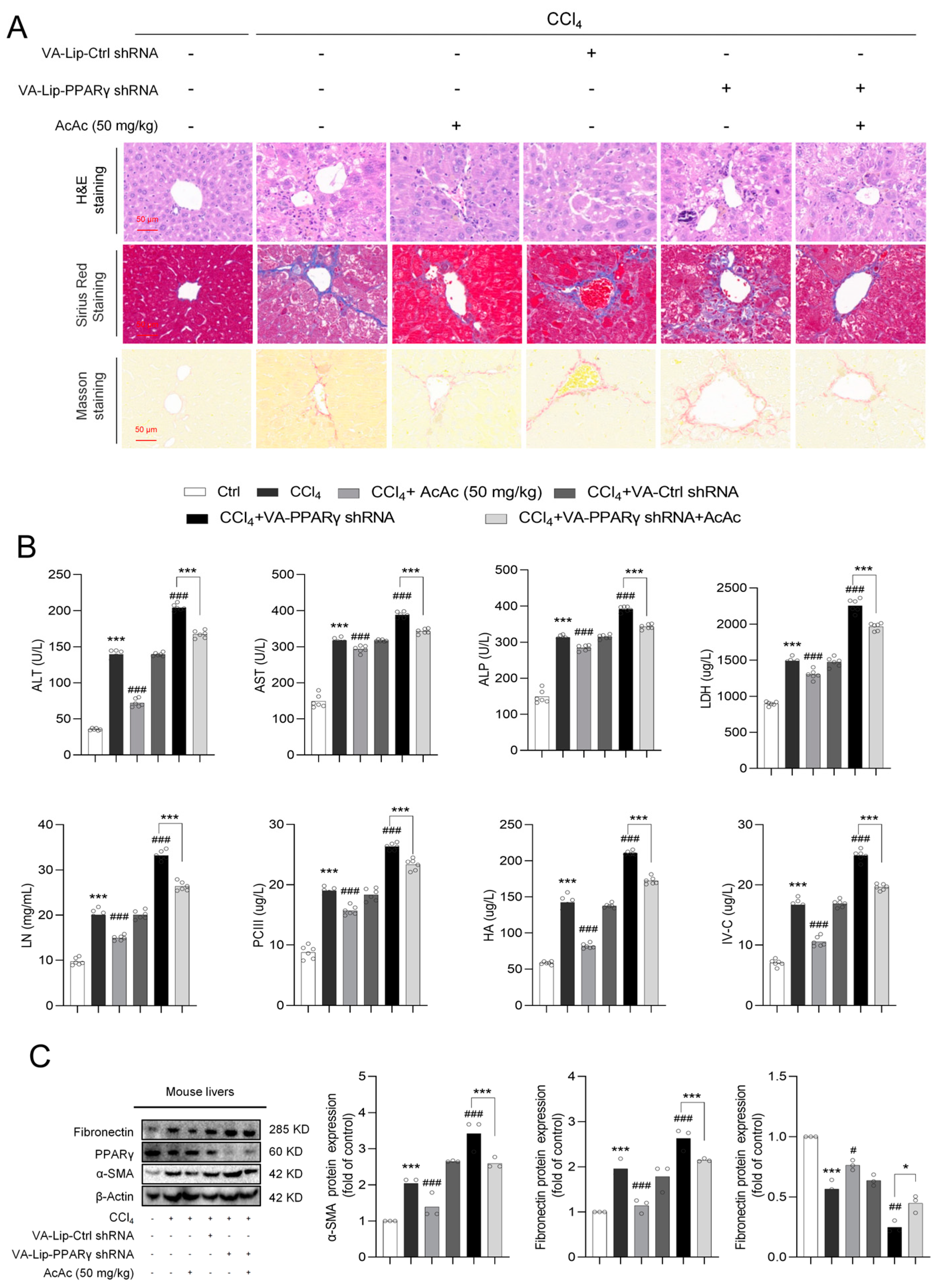 Pharmaceuticals 18 00219 g005