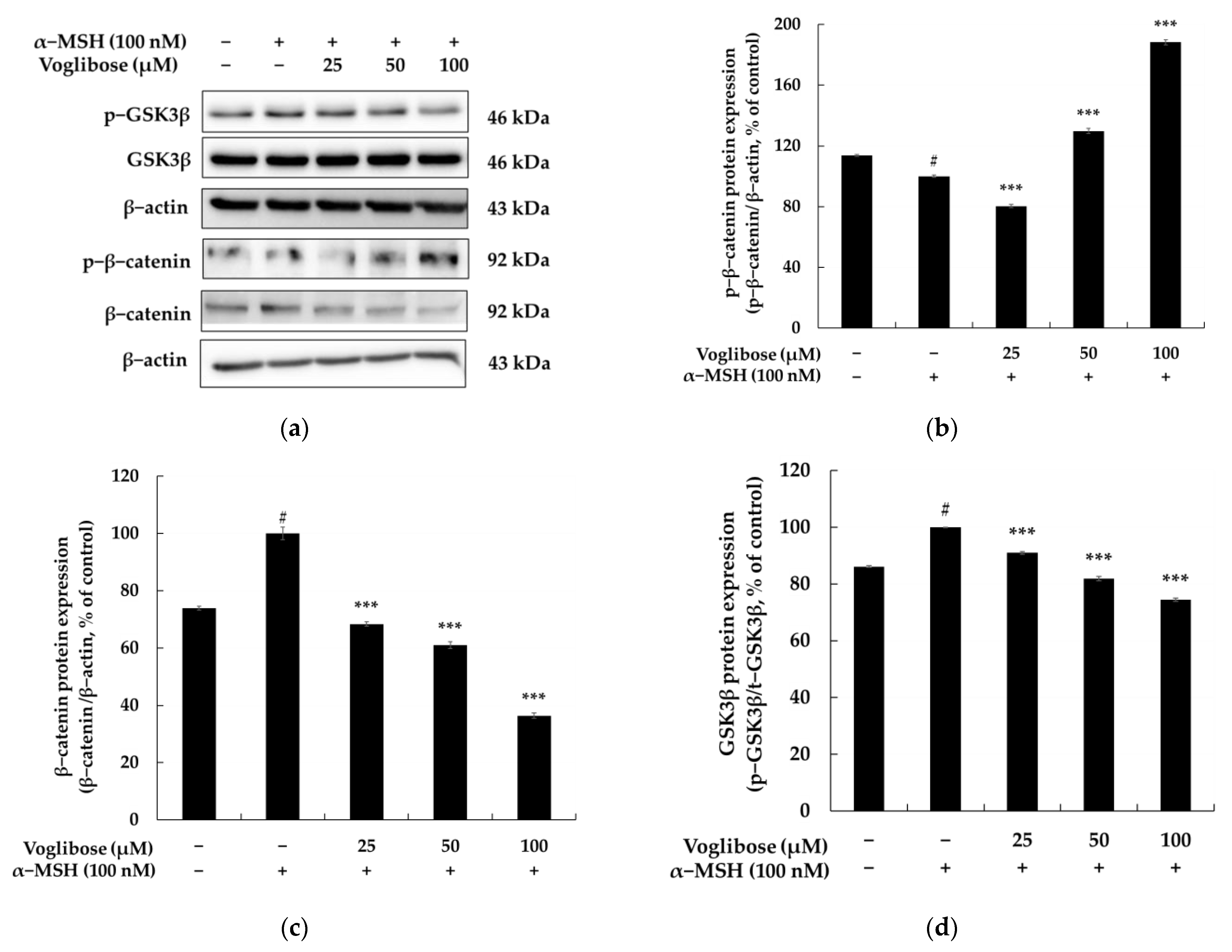 Pharmaceuticals 18 00224 g004