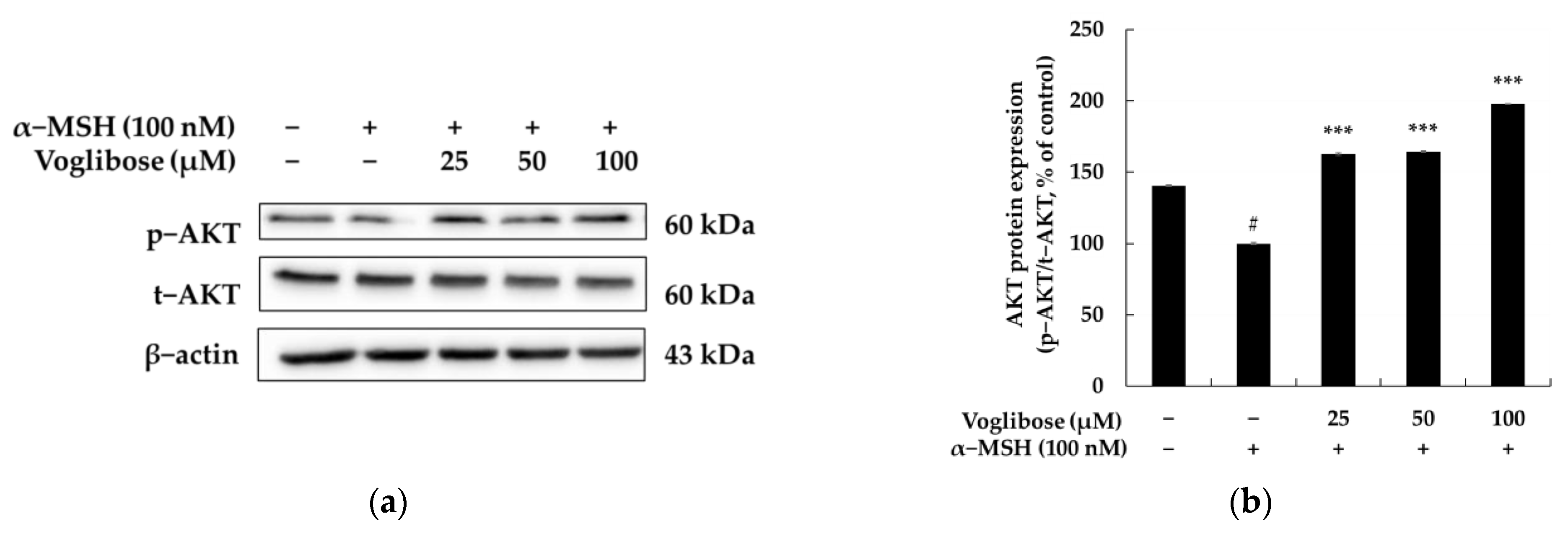 Pharmaceuticals 18 00224 g006