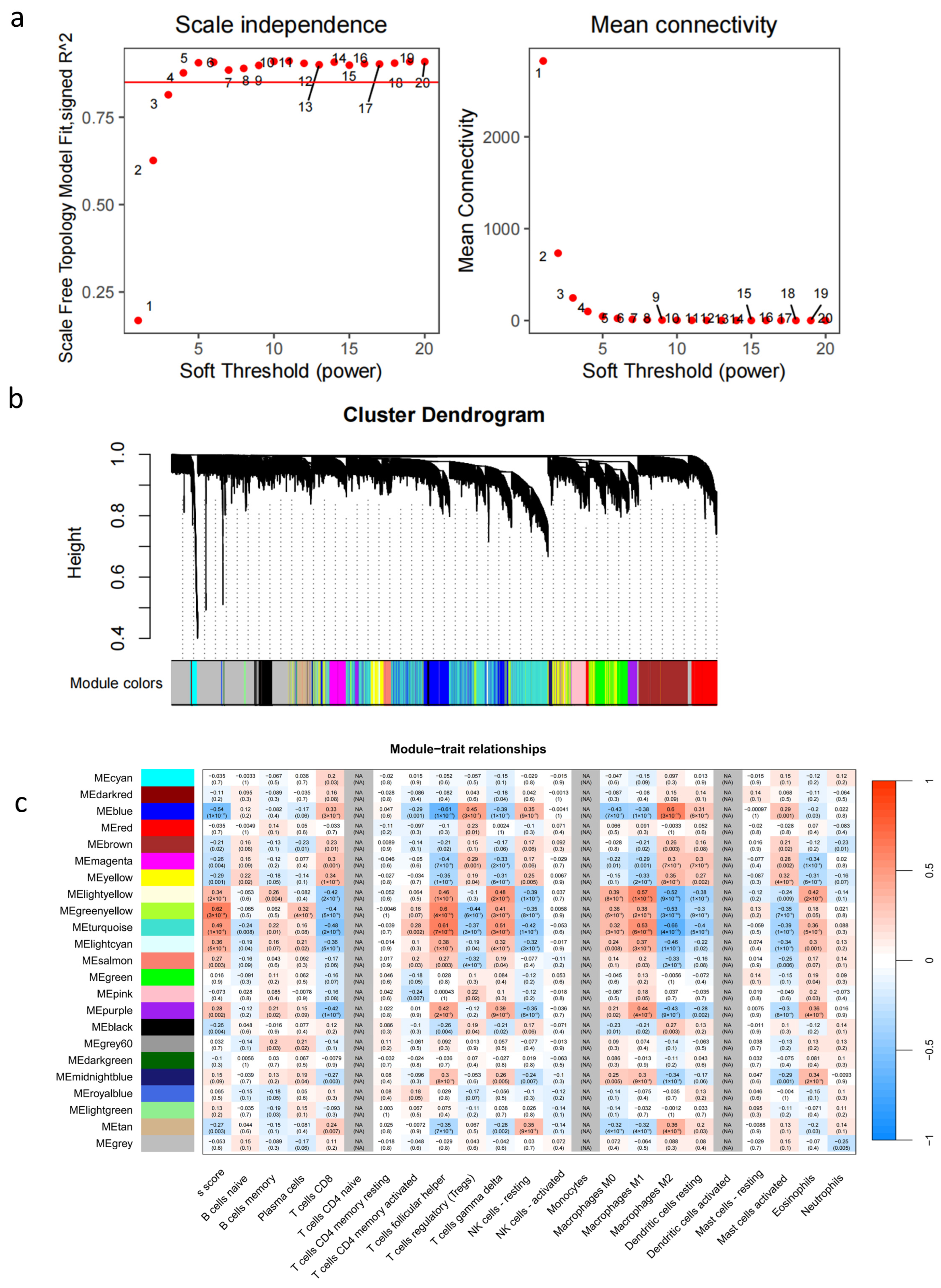 Pharmaceuticals 18 00227 g002