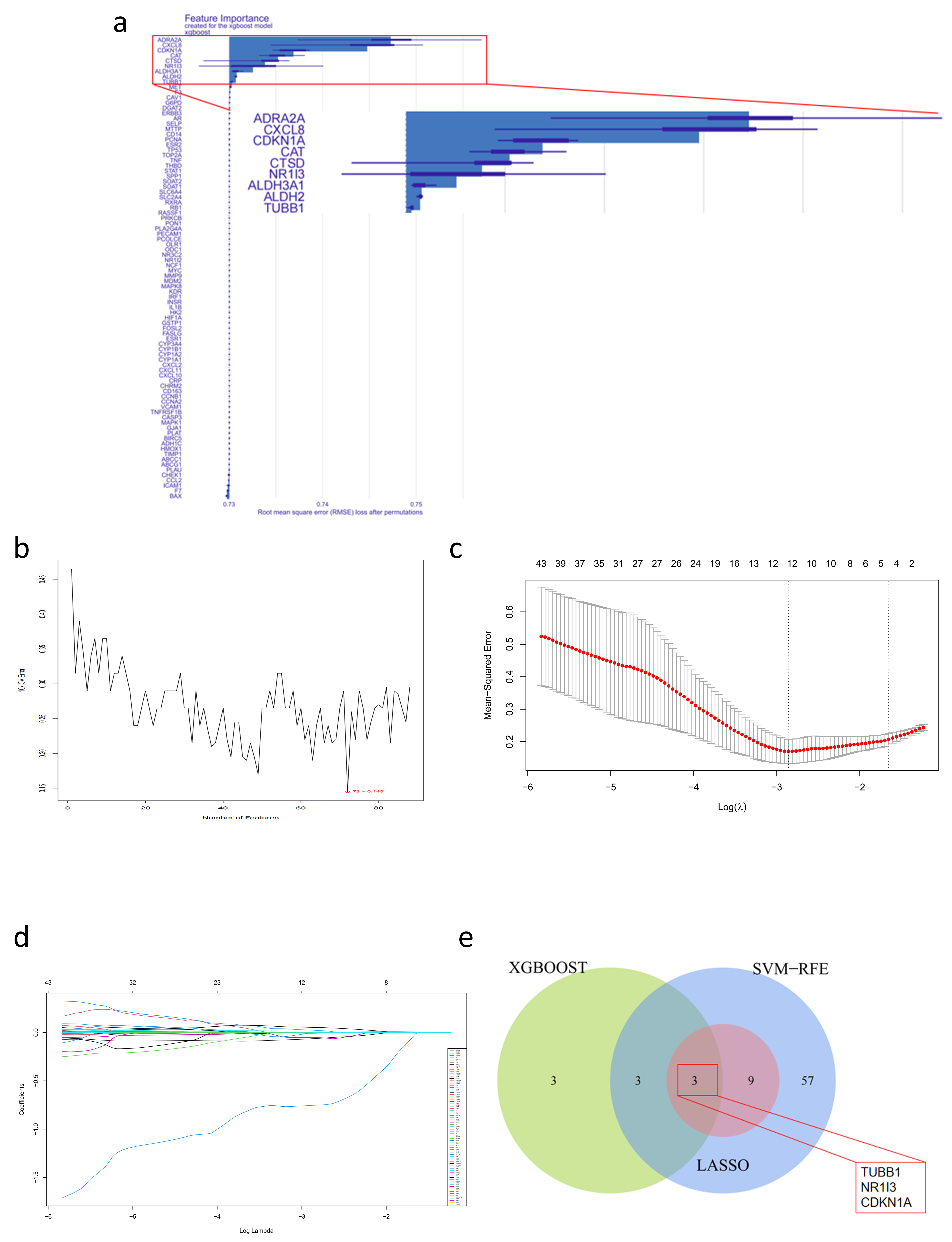 Pharmaceuticals 18 00227 g005