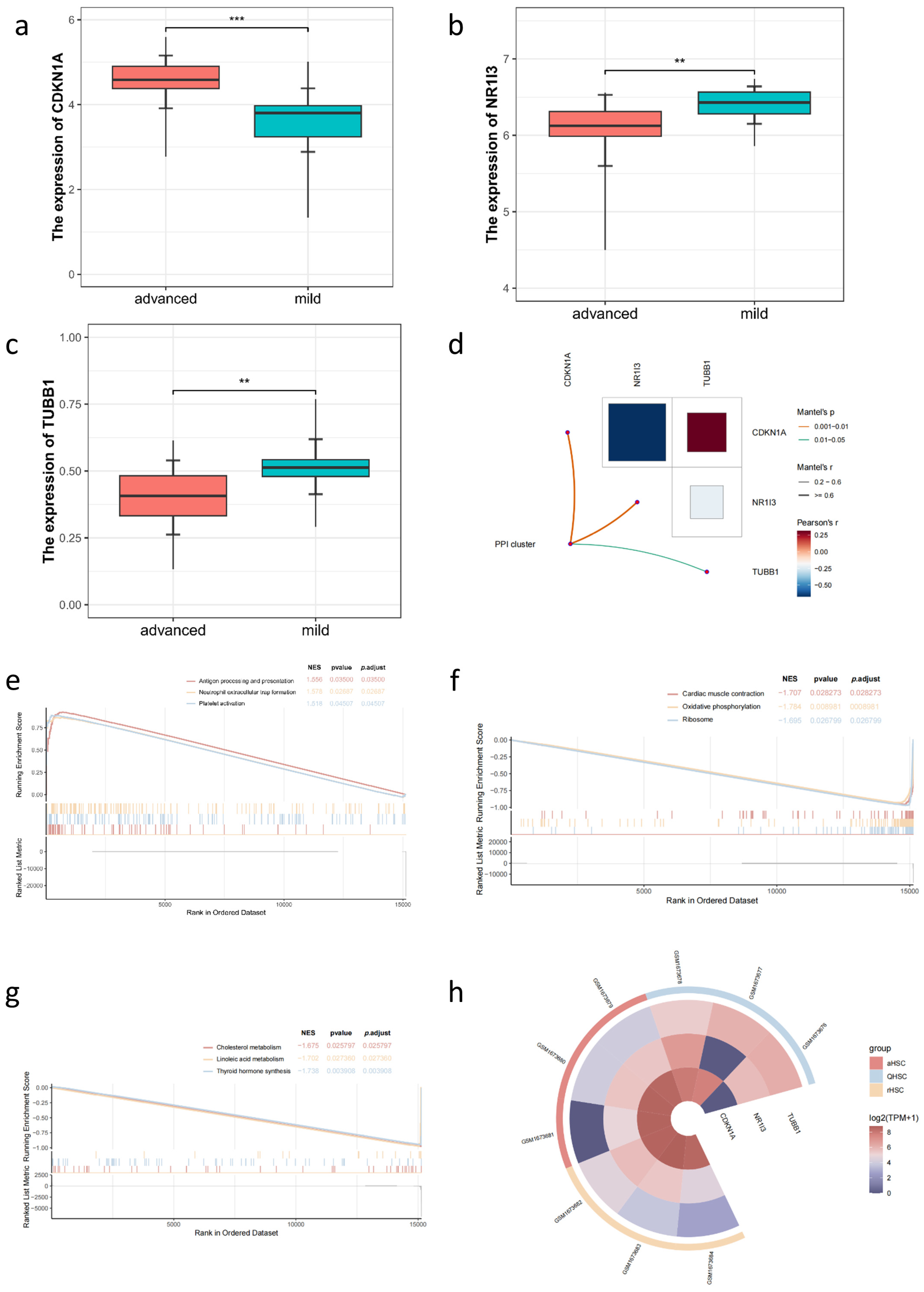 Pharmaceuticals 18 00227 g007