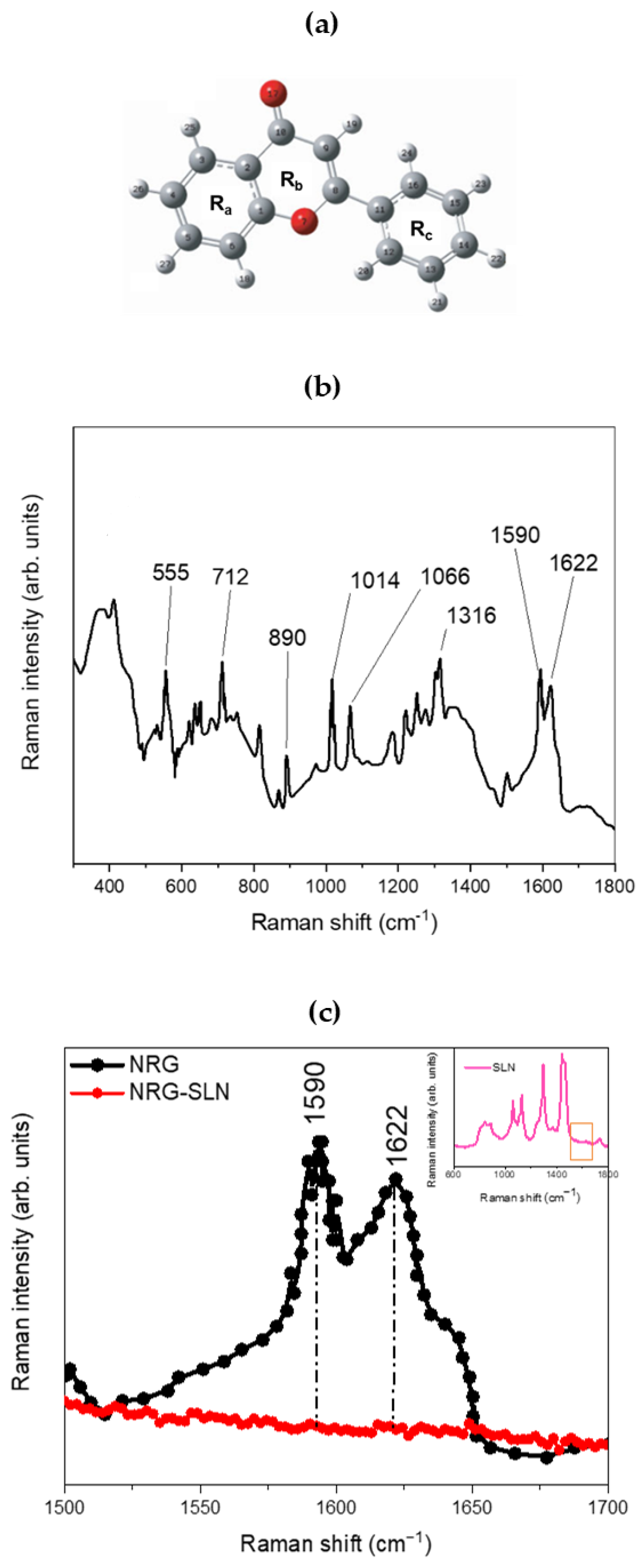 Pharmaceuticals 18 00232 g003